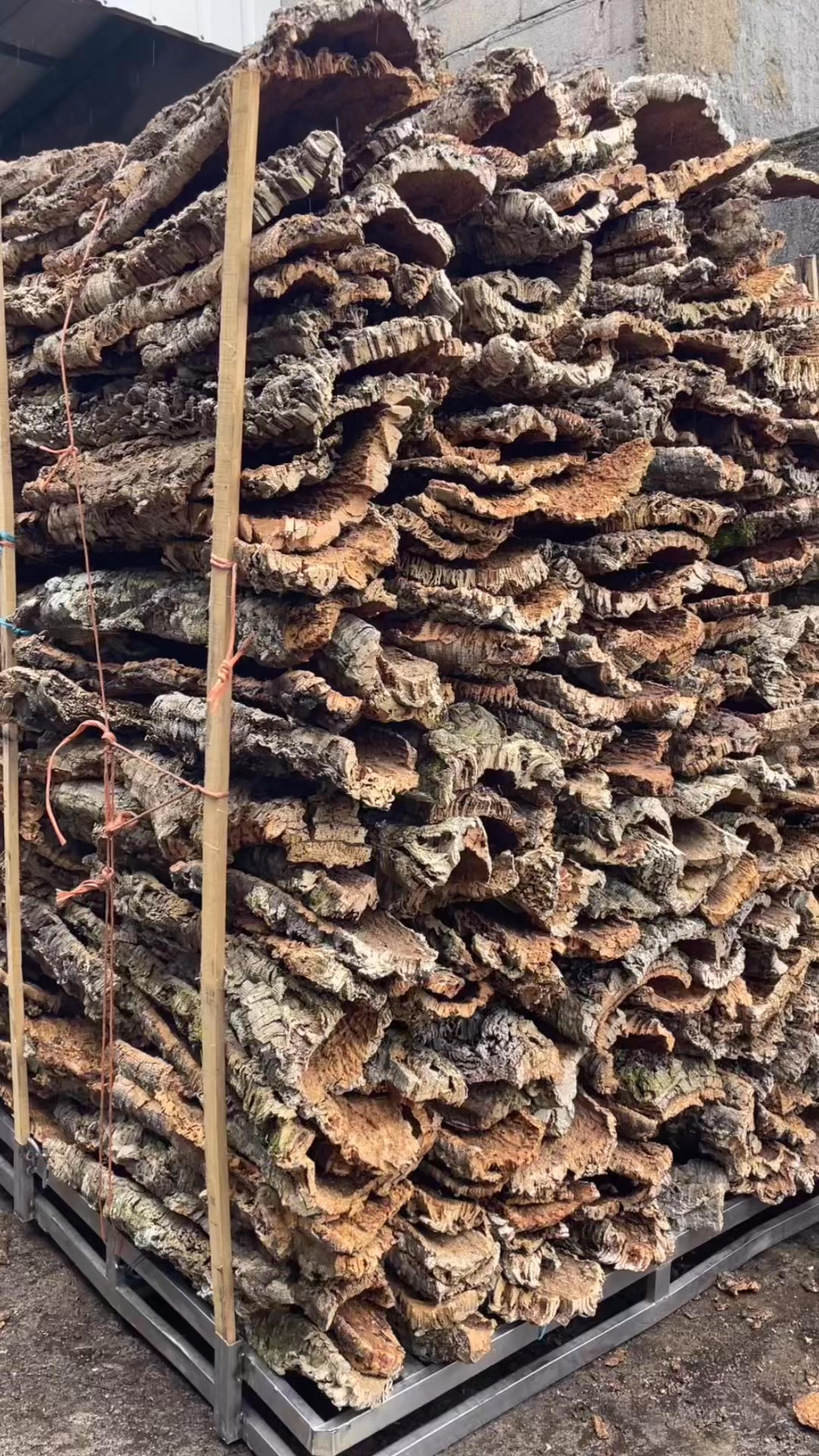 Cork Flats and Rounds
Pallet Preparation
#CorkBark #Bioactive #MossPole #Wholesale #ReptileEnclosure