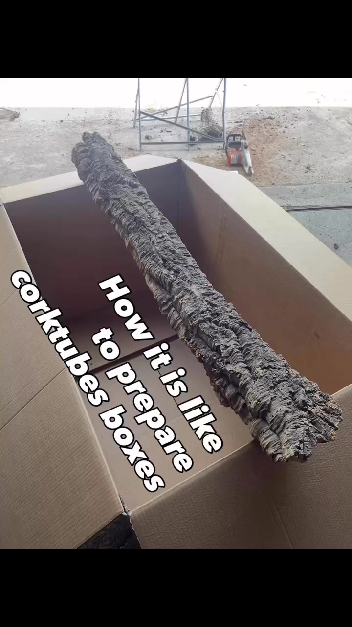 Cork Tubes in cardboard boxes.
#corktubes
#corkbark #reptilesupplies #reptilebreeder #exoticpetshop #vivariumsupply #herpetoculture #terrariumbuild #bioactivesetup #reptilesupplies #petindustry #zoology #exoticvet