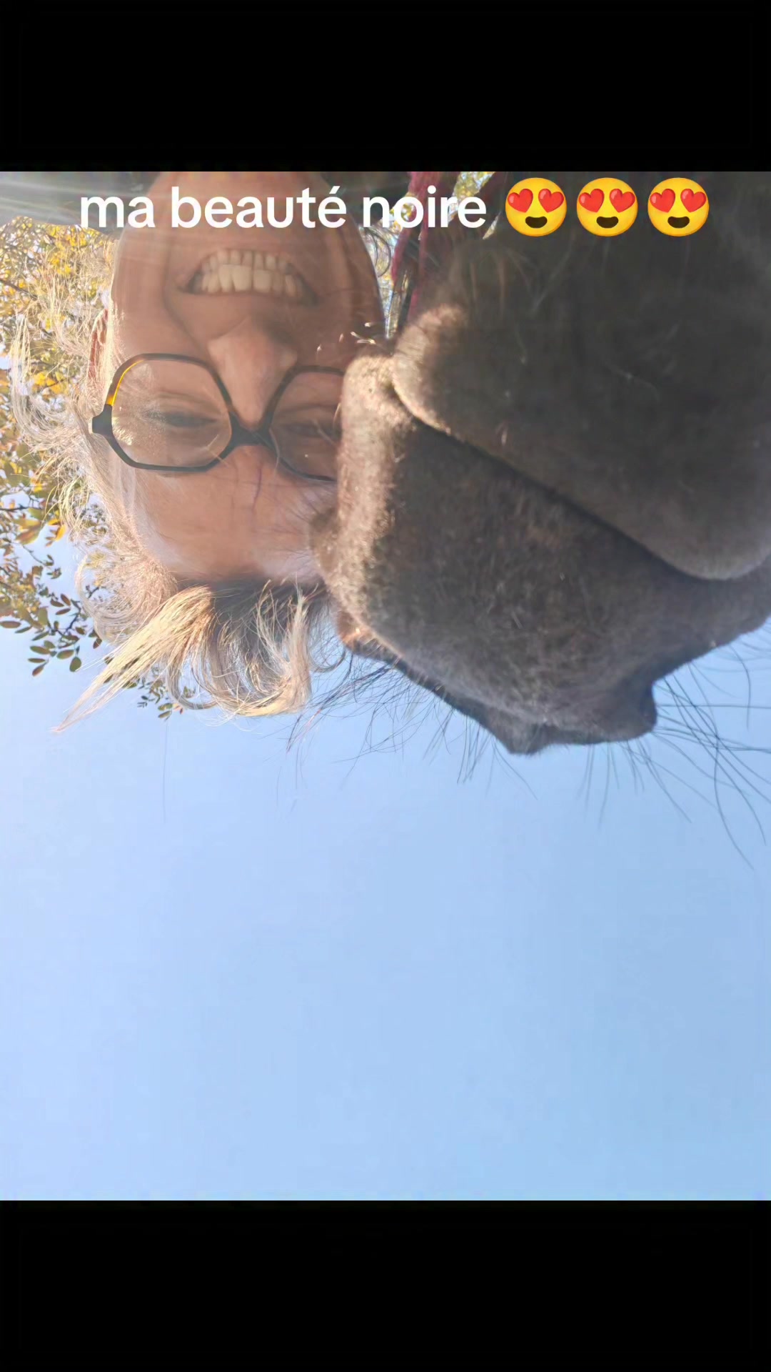 Une belle fin de semaine sous le Soleil ☀️
BELLA...
#lescrinsdederce #virginiedufresne