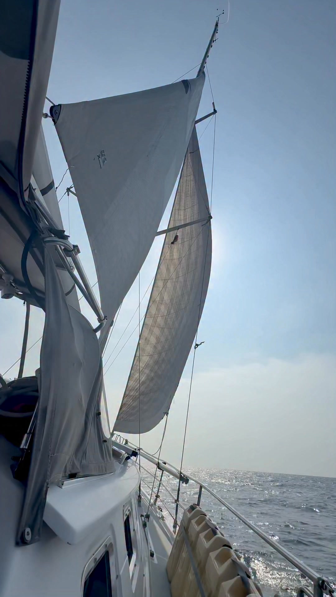 How my day is going…. ❤️