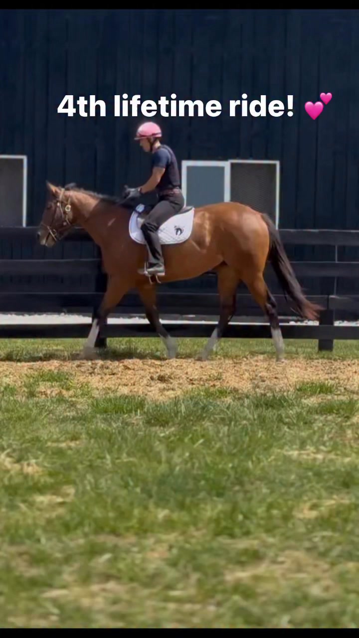 Fourth lifetime ride for The Noodle with Felipe Jacobo! Still a long ways away from being a racehorse...but one step closer!