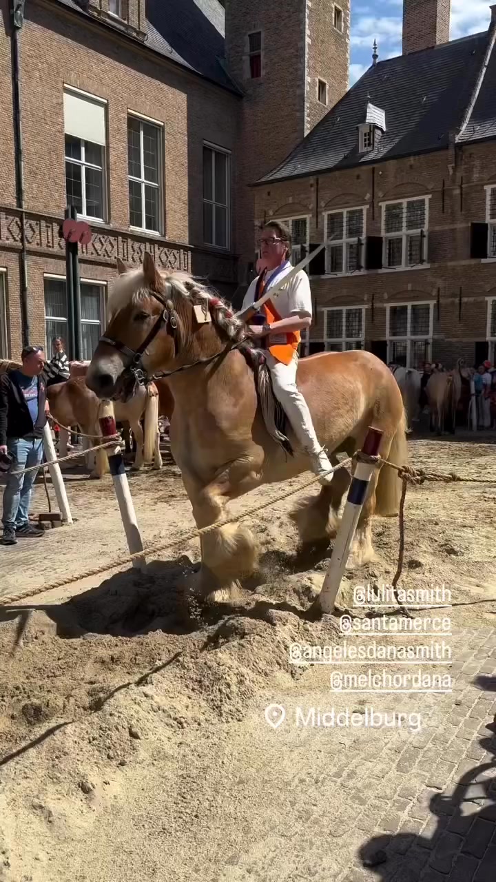 Holanda se vistió de Orange en la celebración del cumpleaños del Rey William Alexandre de Países Bajos #koning #holidays #orange #Middelburg #market Beatriz Brechner Frencis Klink Lucila Dana Smith Rob Verf Holanda se vistió de Orange en la celebración del cumpleaños del Rey William Alexandre de Países Bajos #koning #holidays #orange #Middelburg #market Beatriz Brechner Frencis Klink Lucila Dana Smith Rob Verf