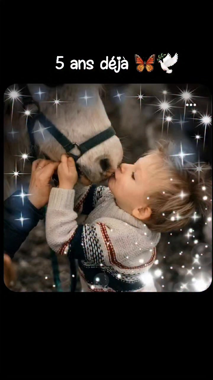 Déjà 5 ans que tu nous as quitté, que dans son esprit tu es devenu un papillon..
L'image est restée...
L'idée que tu ne sois jamais très loin nous laisse toujours une pensée joyeuse ..
Tu étais son premier... Depuis.. l'équitation pour lui n'a plus le même goût...
Vole encore .. tu es éternel ❤️🦋🦋🦋
🕊️🦋 RAPIDO 🦋 🕊️
#lescrinsdederce
#bonheur