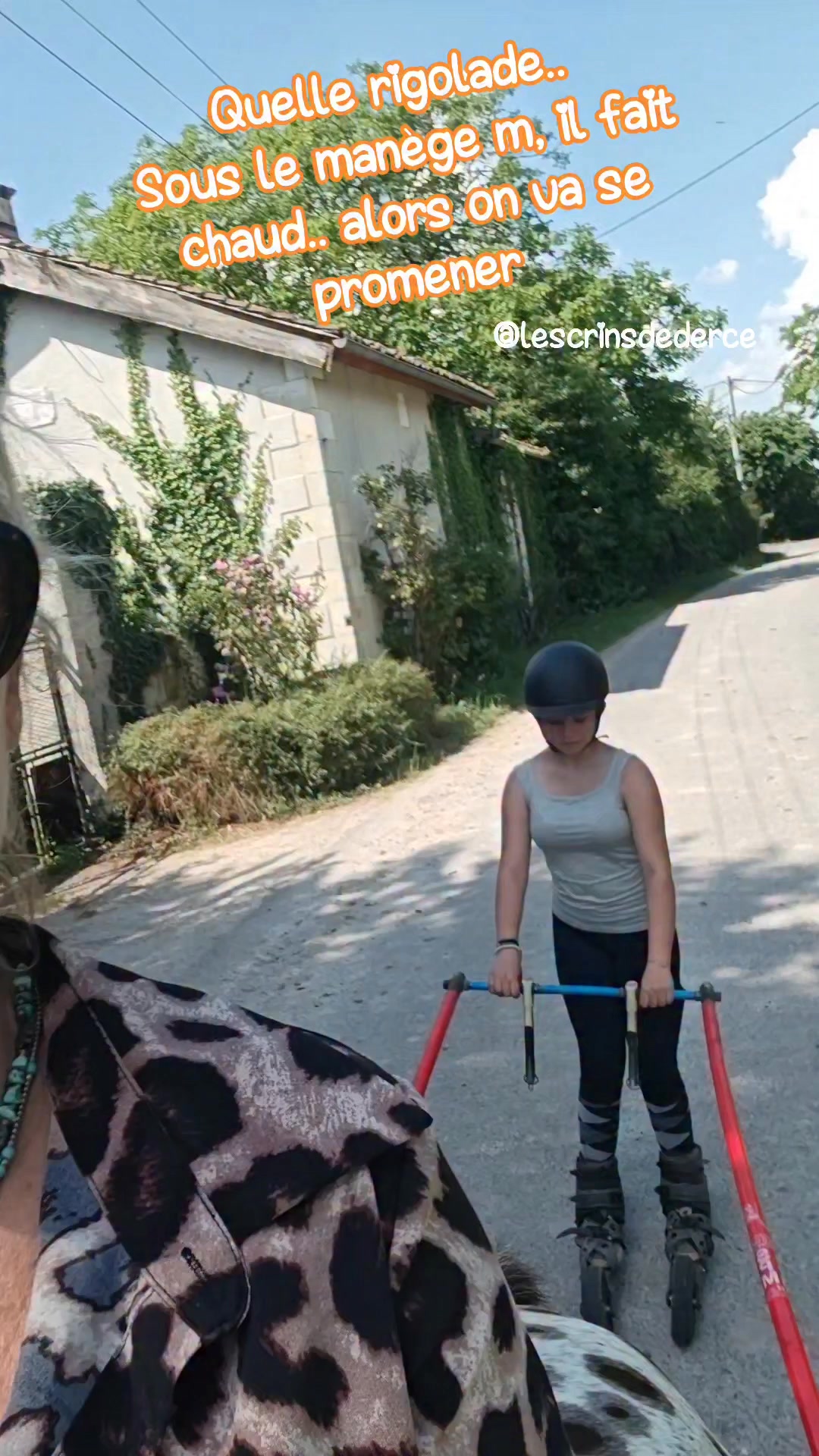 Challlleeeeuuuuuuuuur!
Trop chaud pour travailler.. alors nous on va se promener.. et rigoler 😜😜😜🤣🤣
LES CRINS DE DERCE poney club