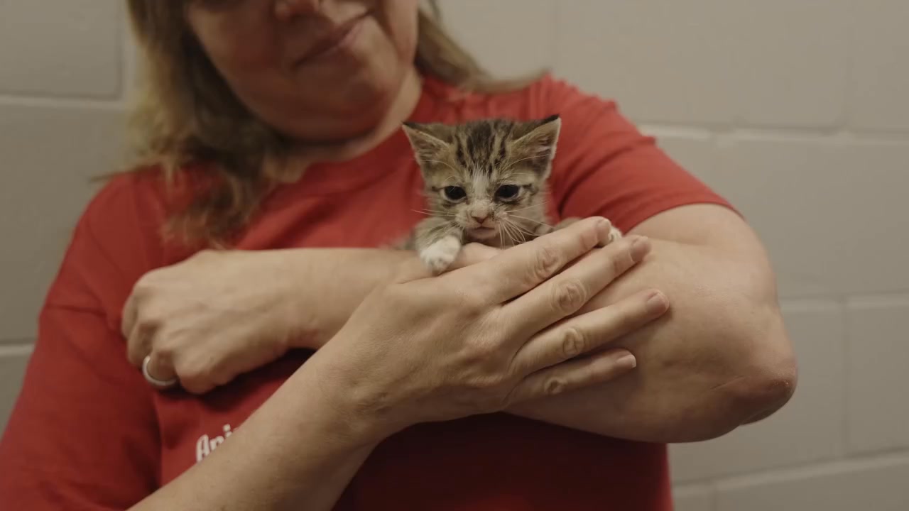 I've been working with cats and dogs for almost 20 years. Three years ago I came to City of Jacksonville, Florida to run Animal Care & Protective Services . And I want to share something with you all today that I'm really proud of.
From November 2025 to right now, we are saving 90% of the animals in our care.
That number has a name in our world. It's the national benchmark for No-Kill status. Jacksonville hasn't been at 90% since 2020. And we're hitting it while taking in nearly 50% more dogs and 60% more cats than we did back then. Adoptions are at an all-time high.
But what I really want you to know is that this didn't come from one big moment. It came from two and a half years of changing almost everything.
We changed how we market the shelter. We started doing way more adoption events out in the community.
We expanded our hours so more people could actually get to us.
We rebuilt how the shelter runs from the inside out, because we wanted every single person who walked through our doors to have a great experience.
We added staff -- a Humane Education Coordinator, a Community Outreach position, more kennel staff, vet techs, and animal services officers.
We cleaned things up, updated the grounds, built a cat "cafe" a public dog park.
We want the shelter to feel like a destination, somewhere people want to be.
And it's working.
We have four months left to make this yea a full No-Kill calendar year. But these four months happen to be four of the hardest months of the year for shelters.
So we need some help. ❤️
If you've ever thought about adopting, fostering, working at a shelter, volunteering, or donating -- now is the time. You could be part of the year that changed everything for Jacksonville's animals.
An amazing team of staff, volunteers, and community advocates are the only way things like this happen.
If youve been wanting to help but don't know how, a comment or send me a message and I'll point you in the right direction.
