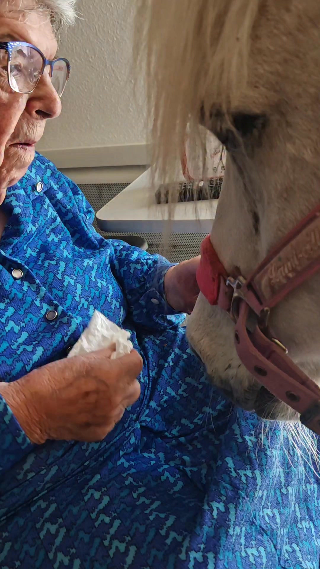 Des moments suspendus...
La venue de Trésor a ouvert des passions...
Ils se régalent à regarder des documentaires et belles vidéos sur les chevaux...
Une passion qui rassemble.. qui ouvre des conversations...
je suis alors toujours convaincue que l'EQUITHERAPIE va bien au delà des séances..
#equitherapie #lescrinsdederce #bonheur #virginiedufresne #bienetre