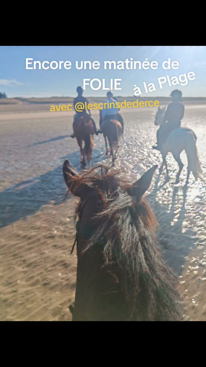 le bonheur peut être à portée de main....
il suffit de venir nous rejoindre au centre Équestre LES CRINS DE DERCÉ
86420
#bonheur #EQUITATION #lescrinsdederce #souvenirs #cheval