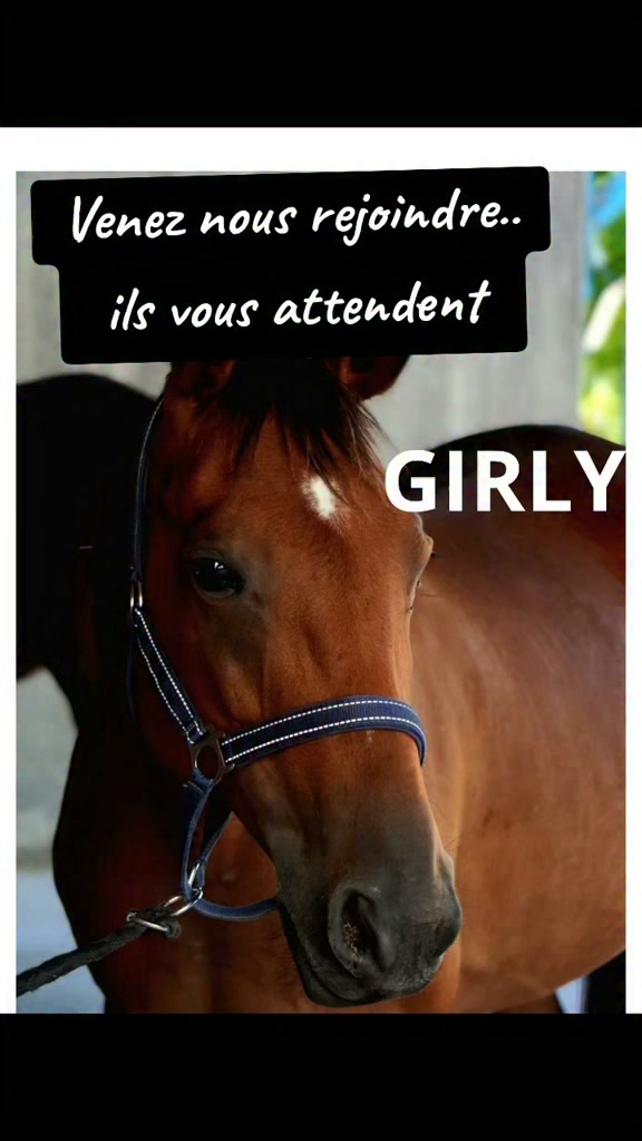 LES CRINS DE DERCE poney club
❤️❤️❤️❤️