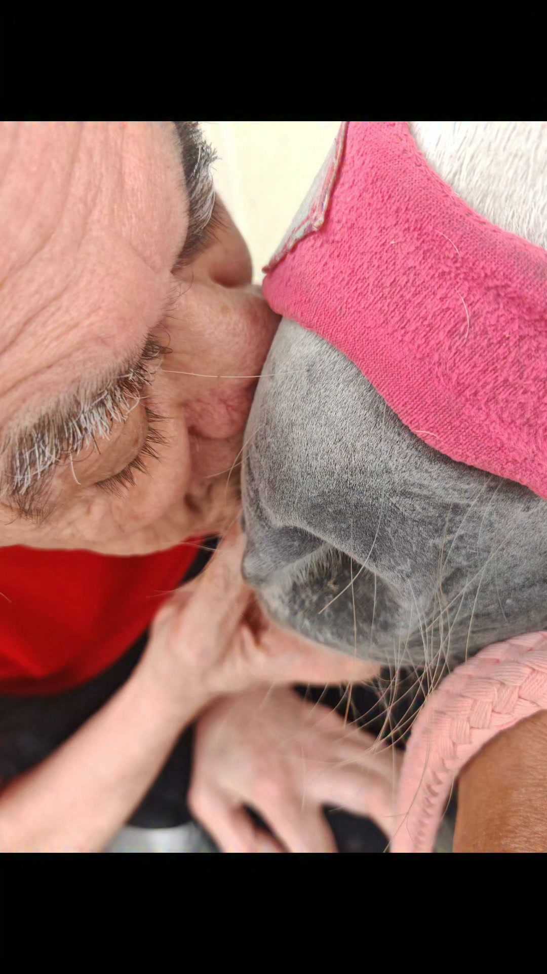 🎶. Le handicap peut enfermer un corps…
mais il ne devrait jamais enfermer une vie.
Derrière les gestes empêchés, les mots absents, les regards parfois difficiles à comprendre,
il y a toujours quelqu’un qui ressent, qui espère, qui aime.
Et parfois, il suffit d’un cheval…
d’un souffle, d’un regard, d’une main posée sur son encolure…
Pour que, l’espace d’un instant,
le handicap disparaisse.
Et qu’il ne reste que l’humain. ❤️🐴
#handicap
#equitherapie
#lescrinsdederce
LES CRINS DE DERCE poney club
