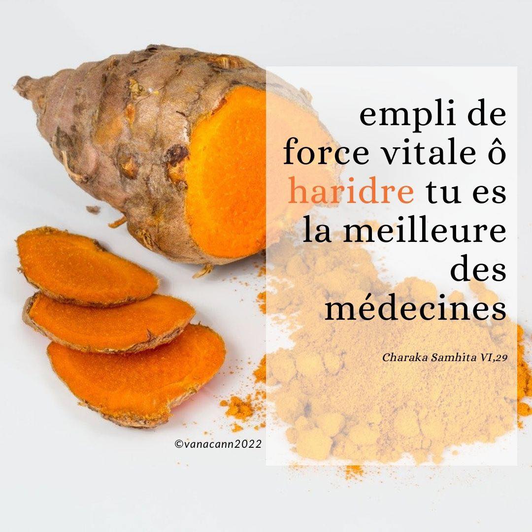 Le curcuma, un incontournable de la cuisine indienne et de la pharmacopée ayurvédique .. rendez-vous sur l’article de blog (inscription/abonnement gratuit) pour en savoir plus !
https://www.casaveda.online/post/haridre-tu-es-la-meilleure-des-médecines
www.casaveda.online
#ayurveda #ayurvedalifestyle #bilanayurvedique #ayurvedacoach #remiseenforme #detox #amincissement #regeneration #energiepositive #ayurvedaphilosophie #ayurvedachezmoi #ayurvedaenligne #yoga #yogachezmoi #yogainspiration #yogatherapeutique #yogacoach #yogaphilosophie #ayurvedicyoga #etreenforme #bonneshabitudes #pleineconscience #bienveillance #bodymindsoul #corpsameesprit #nouvelleaquitaine #ayurvedafrance #yogafrance