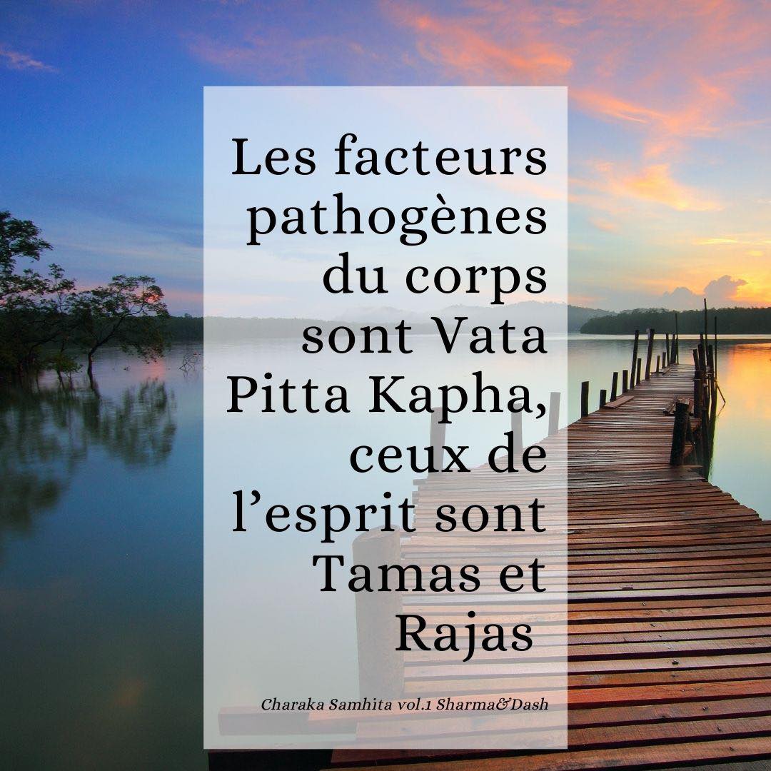 Vata, Pitta, Kapha, Tamas et Rajas sont des agents pathogènes … c’est Charaka qui le dit …. Revenir aux sources, à la compréhension profonde c’est important pour tirer les plus grands bienfaits des traditions ancestrales et des enseignements intemporels des sciences et traditions de l’Inde.
Lorsqu’en 1997 j’ai commencé à pratiquer le Yoga et à découvrir l’Ayurveda, j’ai eu l’impression de retrouver un univers familier. Depuis j’ai eu la chance de rencontrer de grands enseignants et la passion est devenue un travail à temps plein.
Cette passion de faire revivre ces sciences millénaires en les adaptant, en les traduisant pour notre vie du XXIème siècle.. car elles sont intemporelles, universelles et terriblement en phase avec les besoins de notre société.
Alors oui, Vata Pitta Kapha Tamas et Rajas sont des agents pathogènes … mais il reste un élément essentiel synonyme d’équilibre et de santé … découvrez-le dans le nouvel article de blog !
www.casaveda.online
#ayurveda #ayurvedalifestyle #bilanayurvedique #ayurvedacoach #remiseenforme #detox #amincissement #regeneration #energiepositive #ayurvedaphilosophie #ayurvedachezmoi #ayurvedaenligne #yoga #yogachezmoi #yogainspiration #yogatherapeutique #yogacoach #yogaphilosophie #ayurvedicyoga #etreenforme #bonneshabitudes #pleineconscience #bienveillance #bodymindsoul #corpsameesprit #nouvelleaquitaine #ayurvedafrance #yogafrance