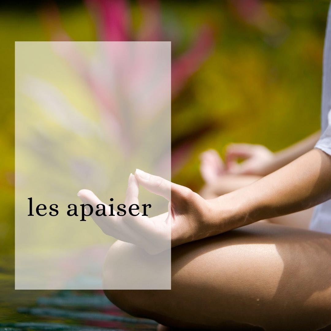 Votre quotidien peut être votre meilleur allié … ou pas. Il est indispensable de comprendre l’impact de notre style de vie sur notre santé afin de garantir une santé optimale. Pas question de vouloir vivre 150 ans, simplement vivre notre potentiel à 100% … au moins ! Vous admirez sans doute les performances de certains sportifs … ce ne sont pas des surhommes, simplement ils ont acquis des habitudes de vie qui augmentent les capacités de leur corps et de leur mental. L’Ayurveda est le meilleur #coachdevie qui soit ! Vous avez sans doute entendu parler de massage ayurvédique ou de tisane ayurvédique .. mais savez-vous que l’Ayurveda est non seulement une médecine à part entière qui accorde beaucoup d’importance à la prévention, mais aussi une philosophie de vie basée sur des textes millénaires et terriblement actuels ? Pour bénéficier de ces enseignements intemporels et très actuels, à la fois théoriques et pratiques, une solution : rejoignez notre programme : bilan ayurvédique et modules en ligne ‘philosophie et pratique de l’ayurveda et du yoga au quotidien’. www.casaveda.online, liens en bio sur @casaveda_online
#ayurveda #bilanayurvedique #ayurvedacoach #remiseenforme #detox #amincissement #regeneration #energiepositive #ayurvedaphilosophie #yoga #yogachezmoi #yogatherapeutique #yogacoach #yogaphilosophie #ayurvedicyoga #etreenforme #bonneshabitudes #nouvelleaquitaine