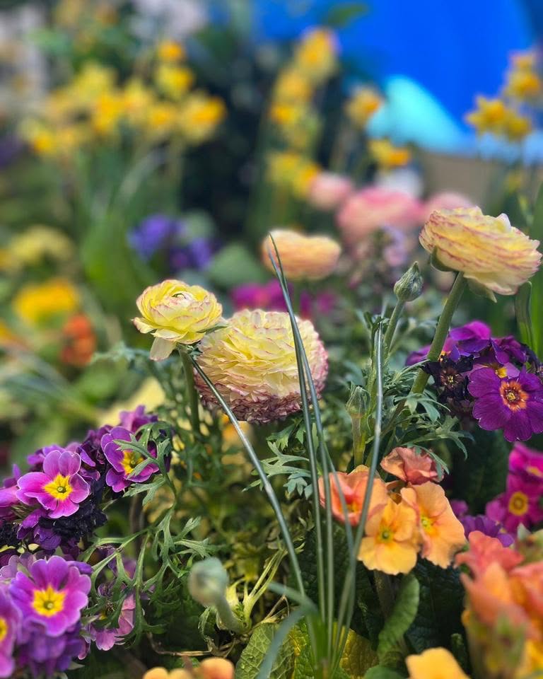 Bright blooms to welcome in Spring at Jo Malone in London #tuliplandscapeslondon #Londoninbloom #springflowers #urbangardening #springblooms #brightcolors