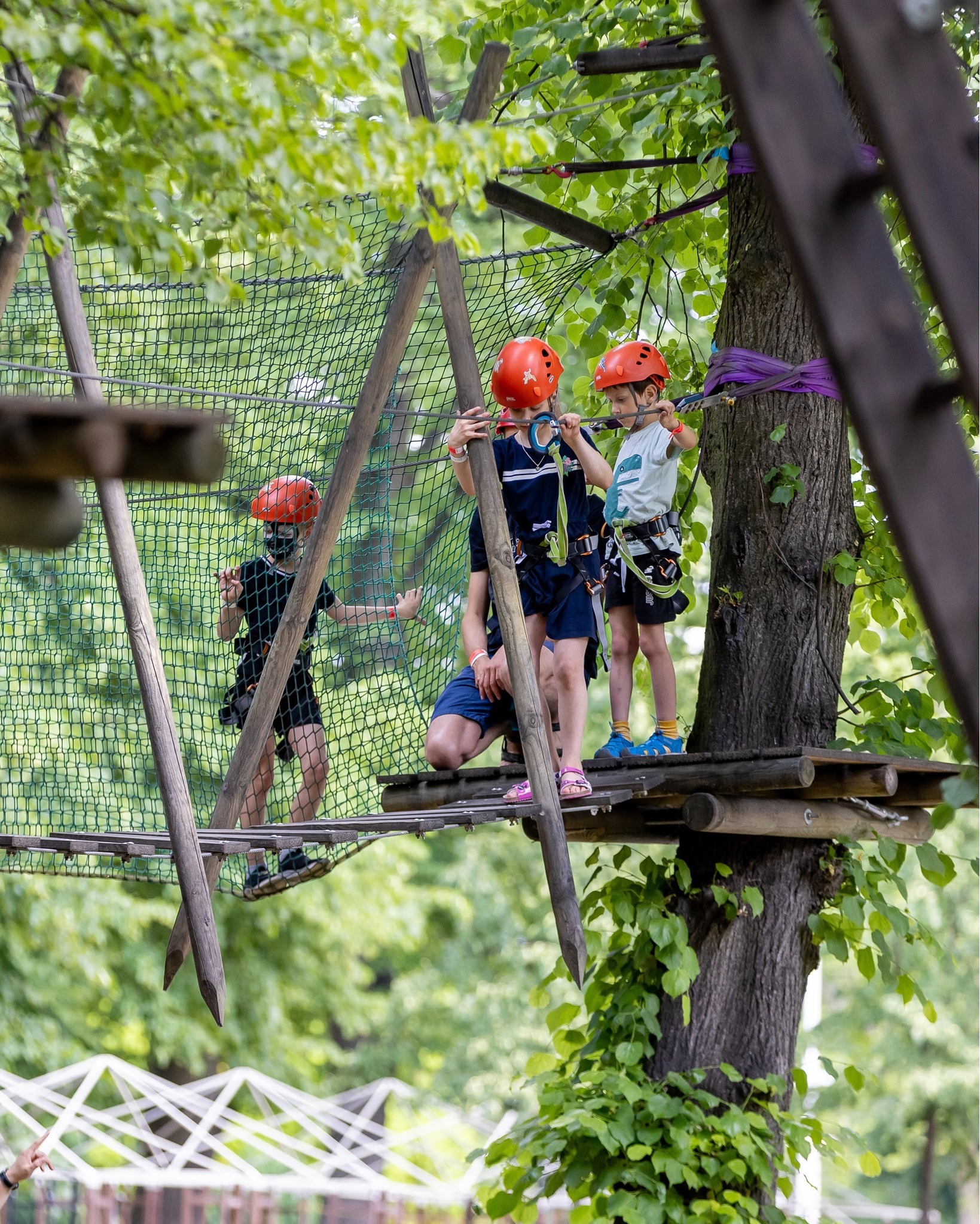 Park linowy to jedna z najfajniejszych atrakcji dla dzieci 🧗🏼
#piknikidlafirm #event #wydarzenie #workgroupevents #eventydlafirm #eventwplenerze #piknik #zabawa