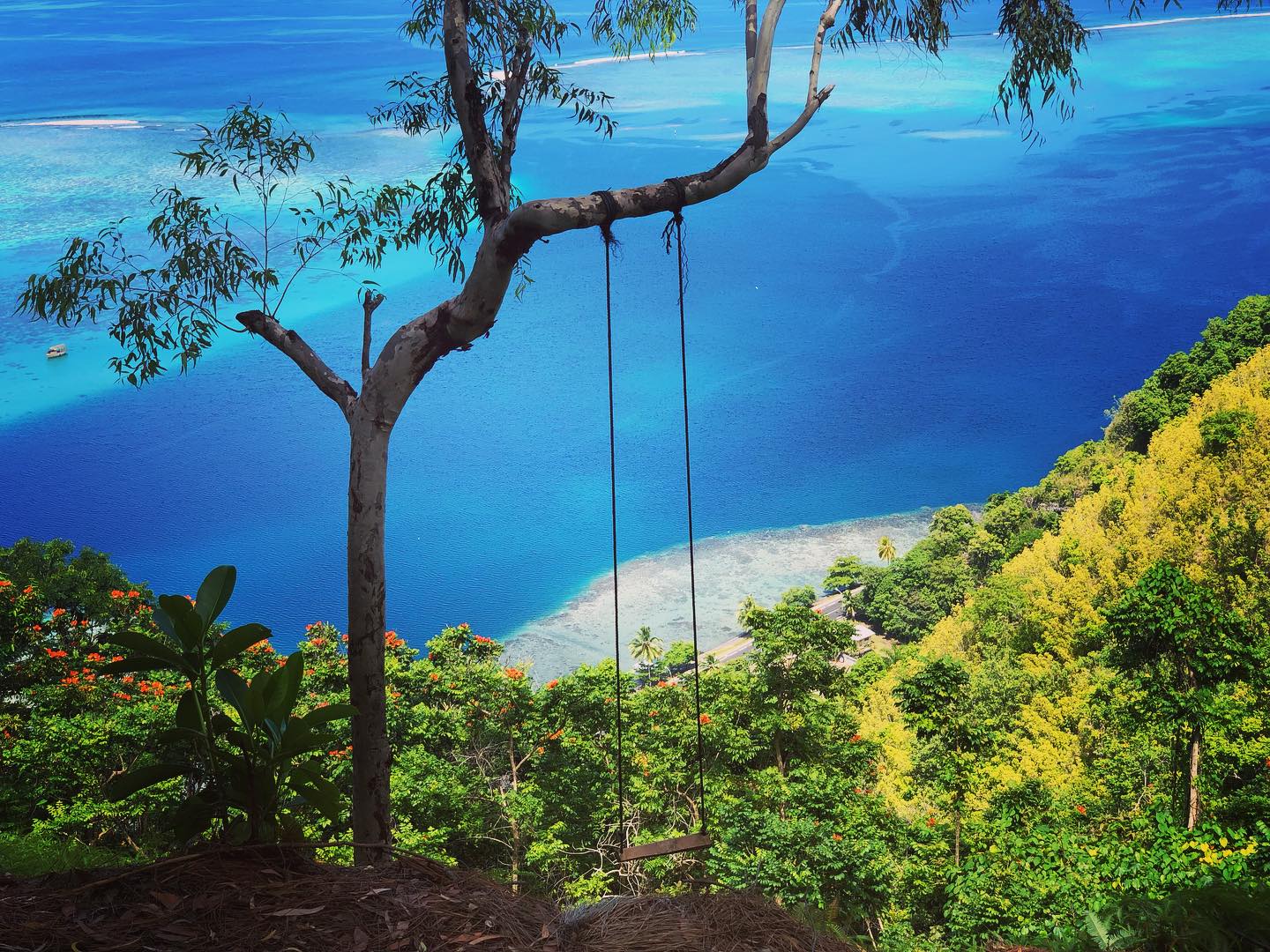 What are your summer plans ? 💦🌿