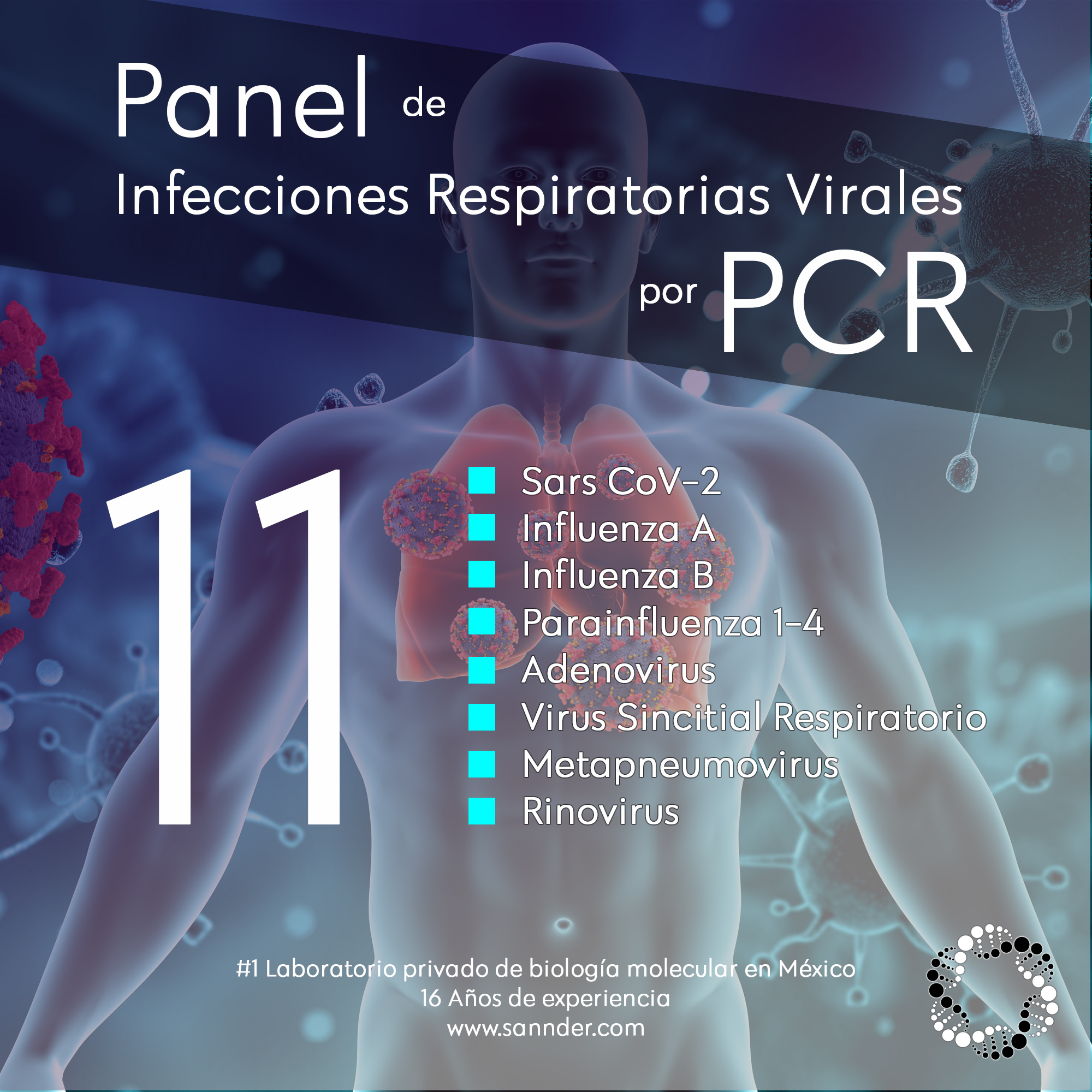 Realiza un correcto diagnóstico con la más alta sensibilidad y especificidad disponible hoy en día.
Detecta 11 Virus respiratorios por PCR
Sannder Biología Molecular - #1 Laboratorio privado de biología molecular en México
#sannder #sannderoficial #biologiamolecular #PCR #infecciones #COVID19 #influenza #VSR #infectologia #neumologia #medicina #consultoriosmedicos