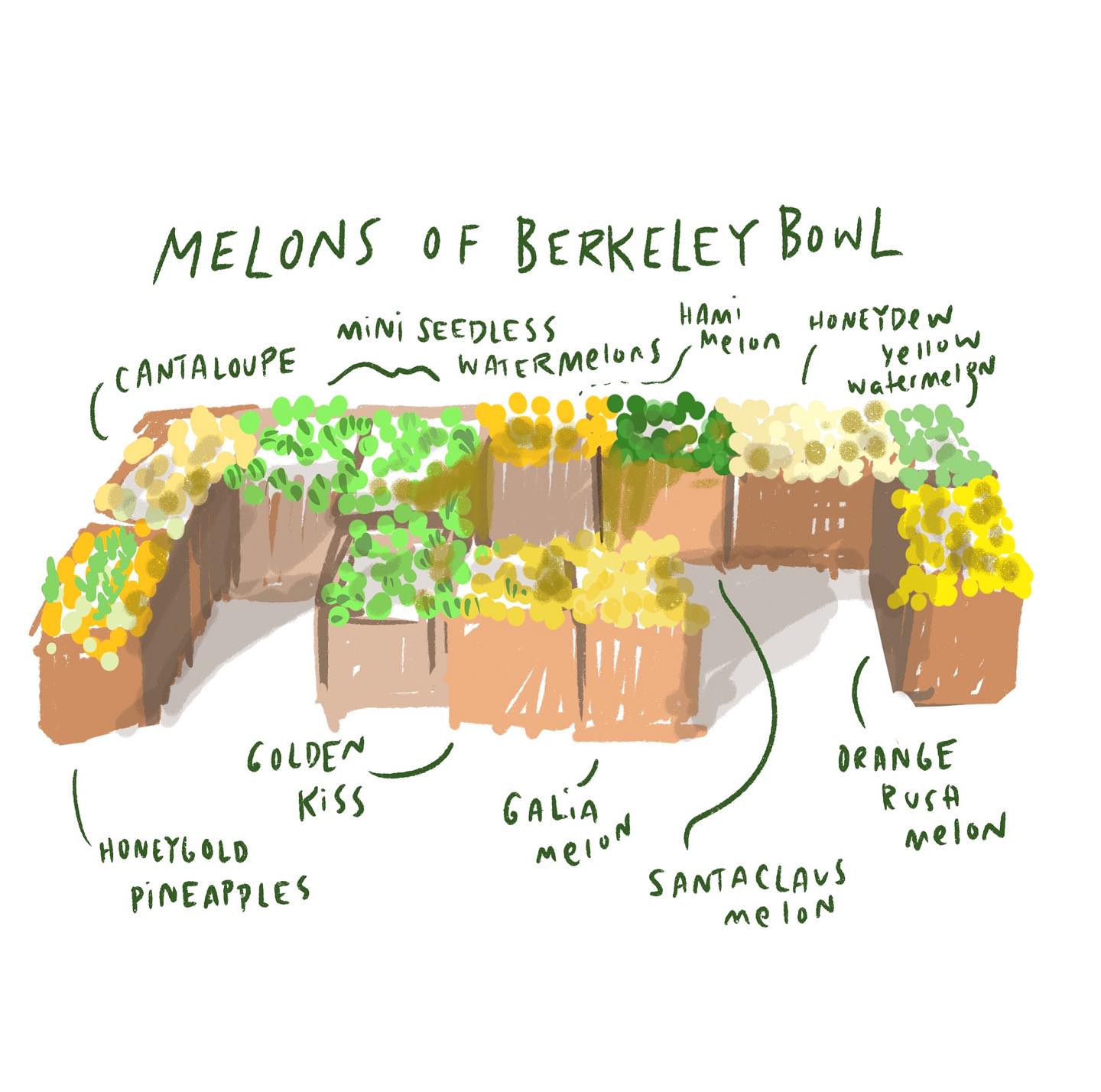 Some appreciation art for the @berkeleybowl melon section. I am forever ruined if I ever have to live anywhere else 🍈💛🍉
Pro tip, the “sugar kiss” melons are a personal fave and are 😋🔥off the chain right nowwww.
Happy meloning to all who melon 🍈
#melons #berkeley #berkeleybowl #summerproduce