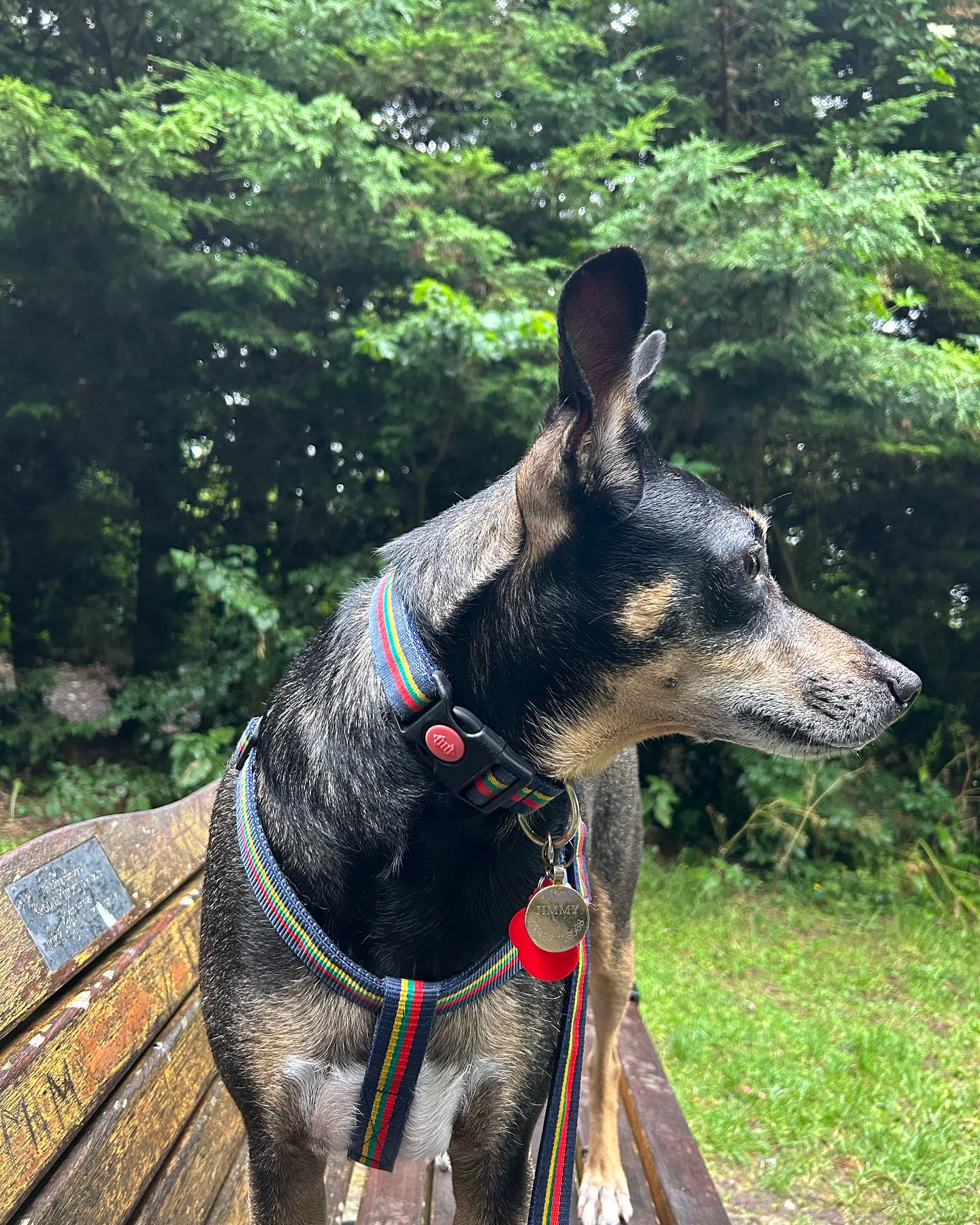 I’m not looking at you. I can’t believe you made me walk in the rain #ihatewetfeet #walkingintherain