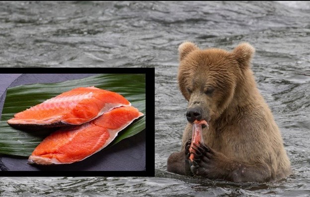 Laat je betoveren door de koning van de rivieren! 🐟✨ Verse aanvoer van wilde Sokeye Zalm is eindelijk gearriveerd, en we hebben alle reden om te juichen!
Deze prachtige vissoort, ook bekend als Rode Zalm, staat bekend om zijn levendige kleur en stevige vlees. Maar er is meer! Sokeye Zalm is niet alleen een ware traktatie voor je smaakpapillen, maar ook een gezonde keuze. 🌊 🎣
Wat maakt deze zalm zo speciaal? Ten eerste wordt hij wild gevangen, wat betekent dat hij vrij door de uitgestrekte wateren heeft gezwommen en zijn natuurlijke dieet heeft gevolgd. Dit geeft de vis een ongeëvenaarde smaak en textuur. Daarnaast is Sokeye Zalm rijk aan omega-3-vetzuren, vitamines en mineralen die bijdragen aan een gezonde levensstijl. 🌱
Dus waar wacht je nog op? Haal die verse Sokeye Zalm vandaag nog in huis en laat je smaakpapillen dansen 🤩
