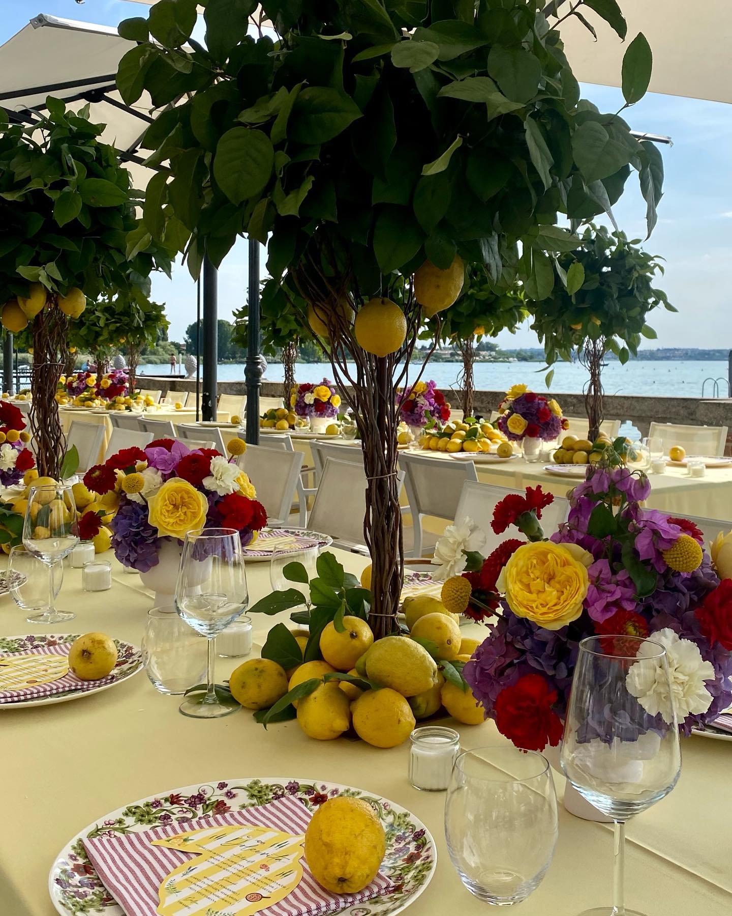 What a rehearsal dinner! 🍋🔥
@dashochzeitswerk @weddingnovelle
#villapioppi #villapioppihotel #villapioppirestaurant #sirmione #gardalake