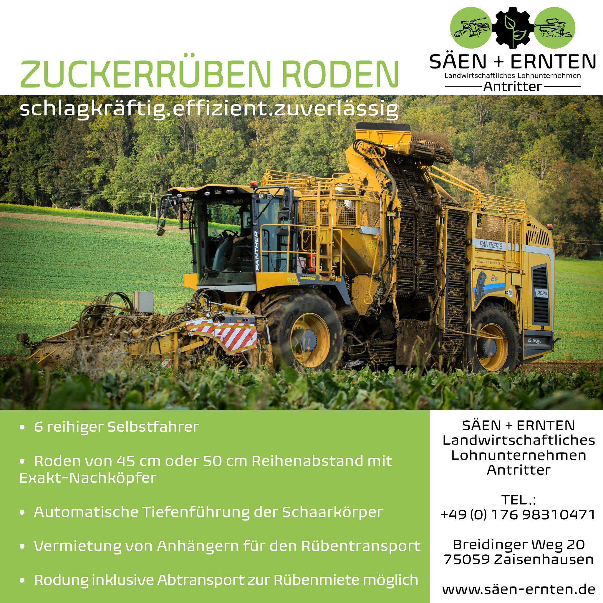 Zuckerrüben roden 🍠
Wir stellen unsere Leistungen vor! 👨🌾
.
.
.
.
.
#ernte #ernte2023 #Ropa #ropamaschinenbau #panther #zuckerrüben #suedzuckermomente #suedzucker #landwirtschaft #landscapephotography #landwirt #lohnunternehmen #sommer #badenwürttemberg #kraichgau #landwirtschaftistleidenschaft #fullgas #foryou #lohner #lohnunternehmenantritter
