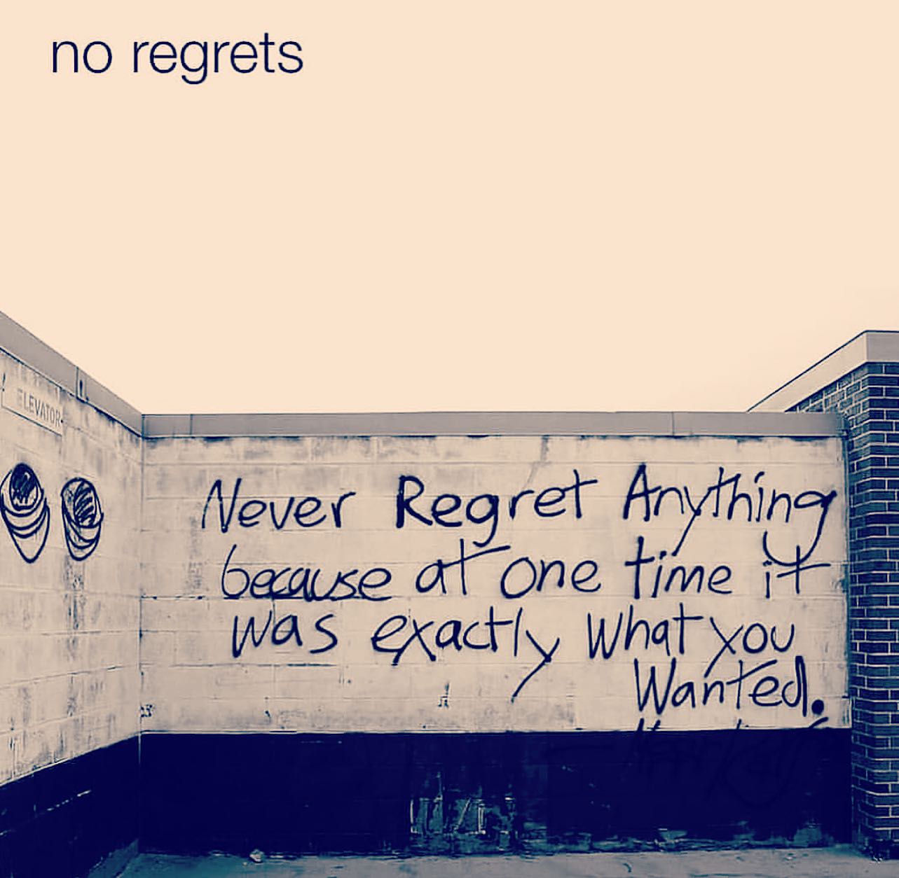 Our regrets can teach us about ourselves, help us to avoid repeating mistakes, and encourage us to make better decisions in the future. On the other hand, if we use our regrets to beat ourselves up, or if we ignore them completely, they will not lead to growth. The key is finding the right balance to continued growth and development! 🦋#regrets #growthmindset #confidence