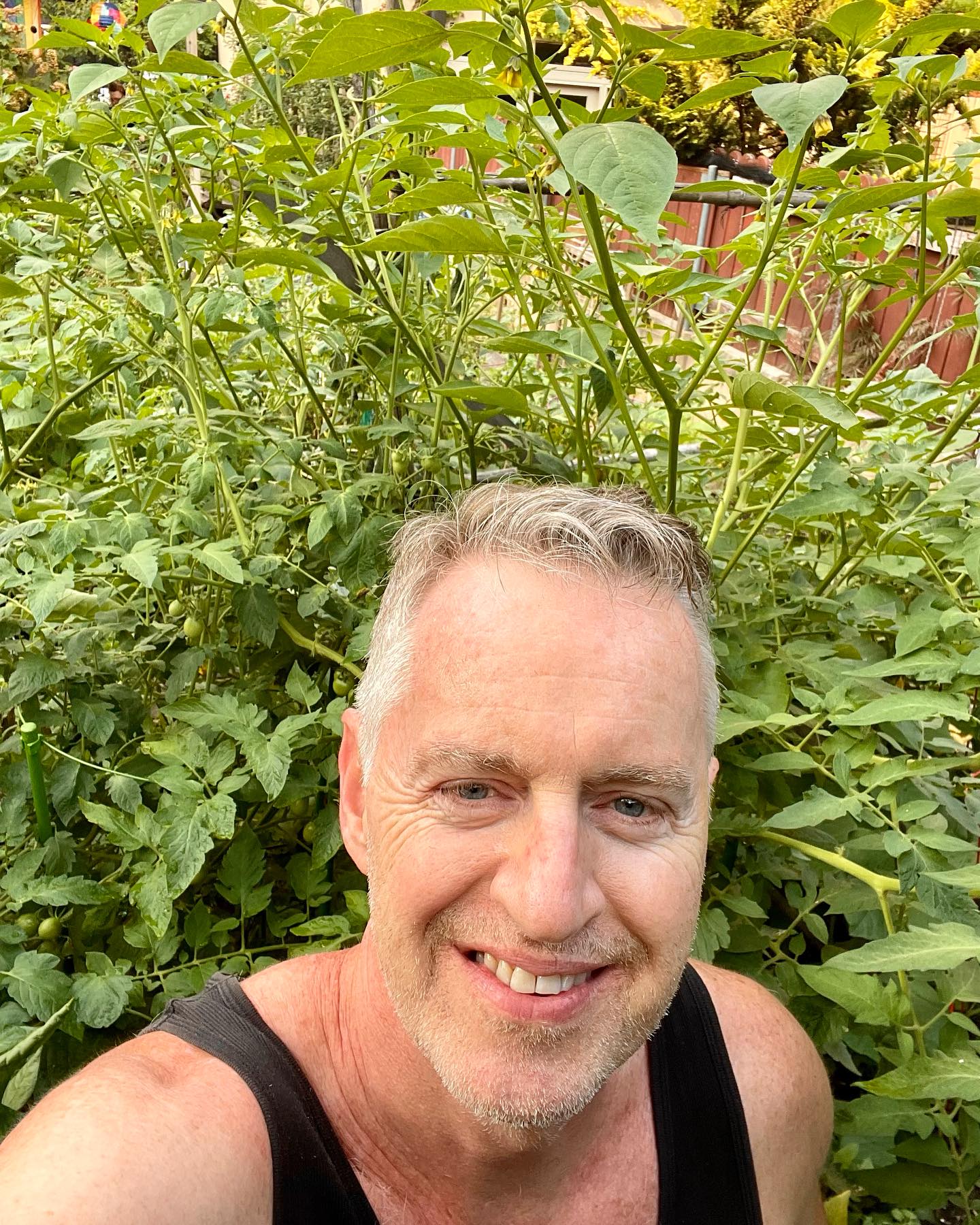 Had NO idea what this little patch could produce when I cleared it in May.
My 1st NYC garden, and 1st real patch of my life (other than roof tub, etc.). So exceeded my expectations. Love my babies. š
(Who know the tomatoes would tower over my head? And now the peppers zipping past them.) And itās only July! š