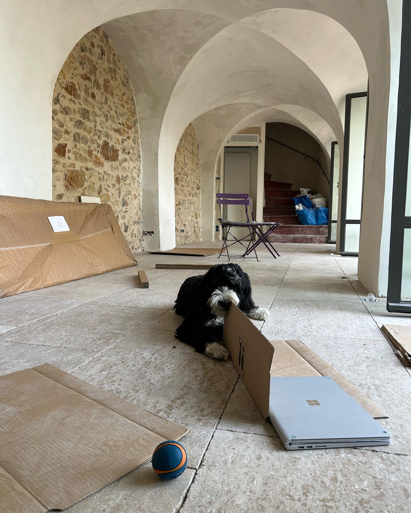 Something is cooking in the second part of @lamaisonlong_south_of_france!!! Almost done…
.
.
.
.
Book La Maison LONG****
Vacation home | Photoshoot
4 bedrooms | 6 guests
📍In the heart of the village (Ollioules, Var)
⛱ 15 min from beaches by car
⏱ Near Sanary-sur-Mer, Bandol, Le Castellet, Evenos, La Cadiere d'Azur, Toulon!
⌨ For lowest prices, book here:
www.lamaisonlong.com
.
.
Réservez La Maison LONG****
Maison de vacances | Lieu de Tournage
4 chambres | 6 personnes
📍Au cœur du village (Ollioules, Var)
⛱ 15 min des plages en voiture
⏱ Proche de Sanary-sur-Mer, Bandol, Le Castellet, Evenos, La Cadiere d'Azur, Toulon!
⌨ Réservez ici (prix les plus bas) : www.lamaisonlong.com
#lamaisonlong #maisonlong #ollioules #sanarysurmer #vacationhome #slow #slowliving #cotedazur #southoffrance #regionsud #frenchriviera #provencealpescotedazur #pacatourisme #maisonalouer #locationsaisonniere #maisondecharme #maisonsdevacances
#authenticprovence #suddelafrance #lesud #ProvenceGuide #VisitProvence #frenchcountry #uniquehomes #amazingspaces #patrimoinefrancais #oldstones #vaultedceiling