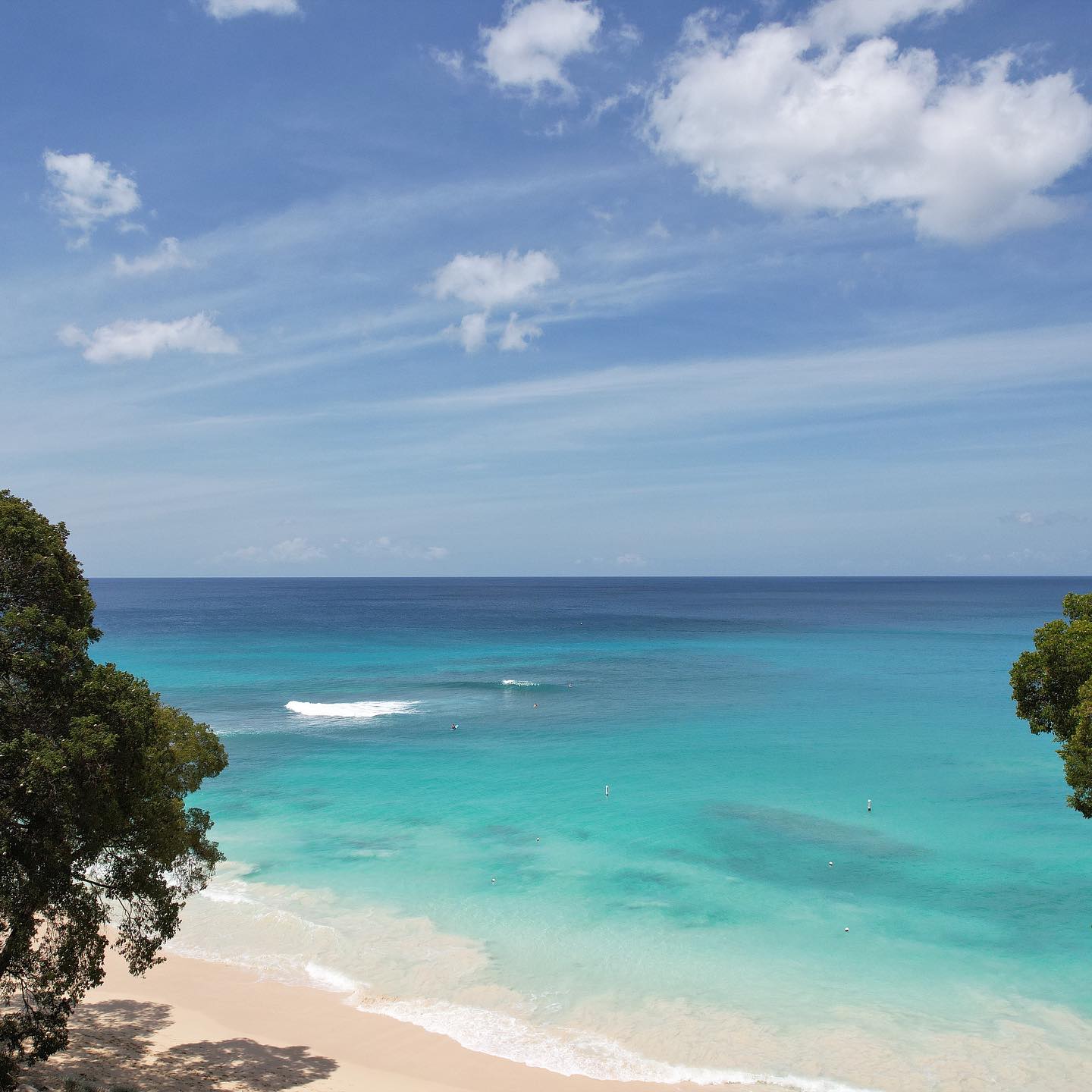 Batts Rock beauty! ☀️ Batts Rock is one of our favourite swims stops while on the water!
What is your favourite swim stop? Let us know in the comments! ⬇️
#365yachtcharters #yachtcharters #yacht #boat #charter #onthewater #yachtlife #beachlife #boatlife #visitbarbados #luxury #carribeantravel #barbados