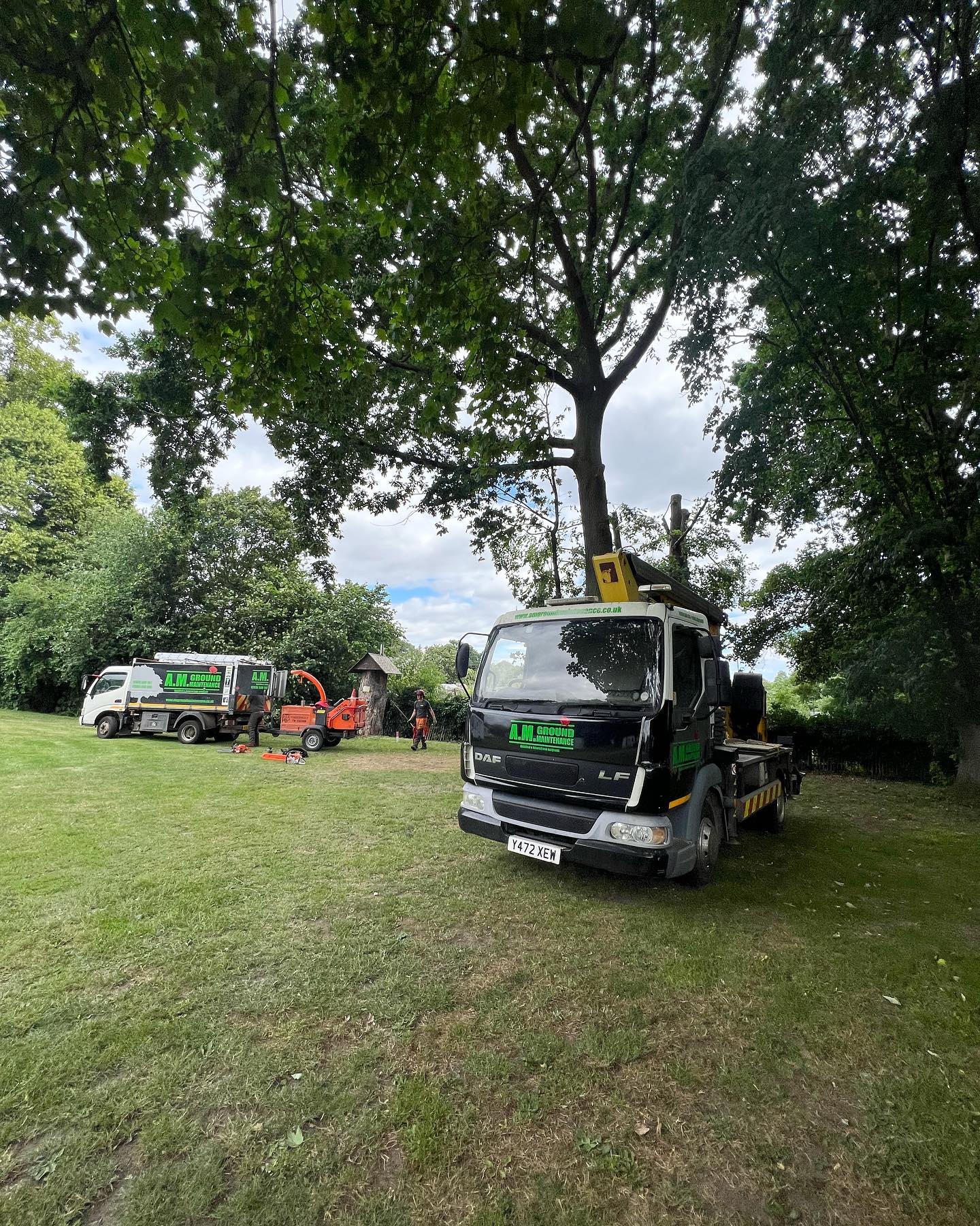 A few photos of some recently completed jobs 🌳🌳 #amgroundmaintenance #norfolk #norwich #norwichbusiness #norwichbloggers #arb #arborist