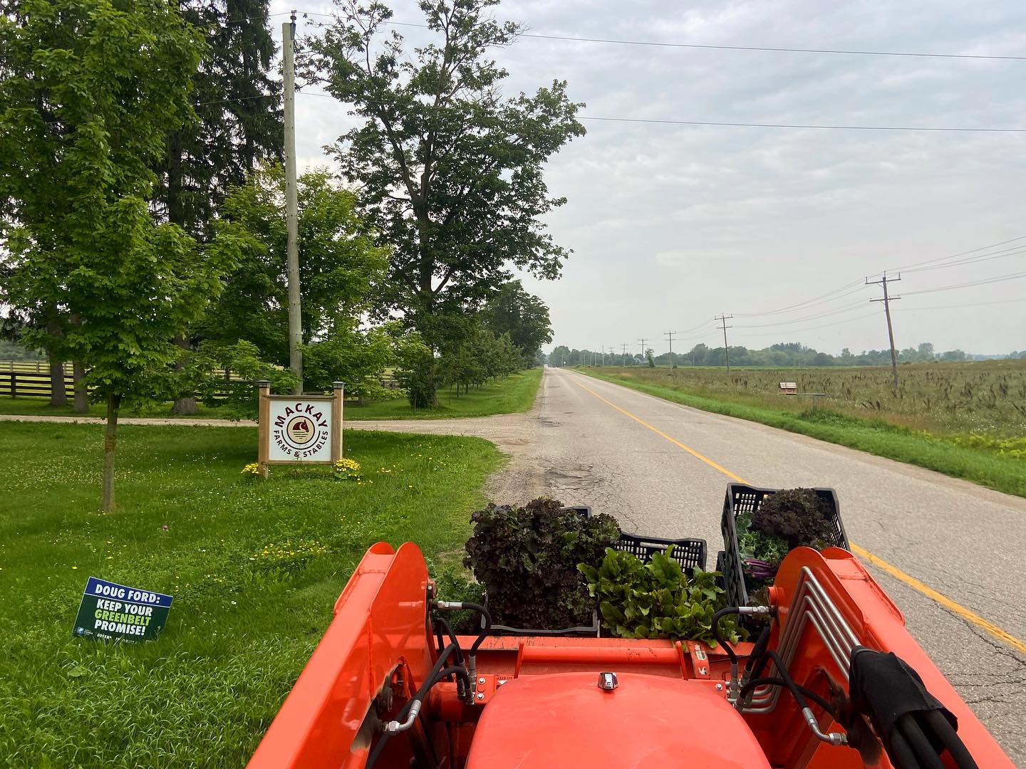 And that’s a wrap for the week! See you tomorrow at the Elora Farmers Market!!