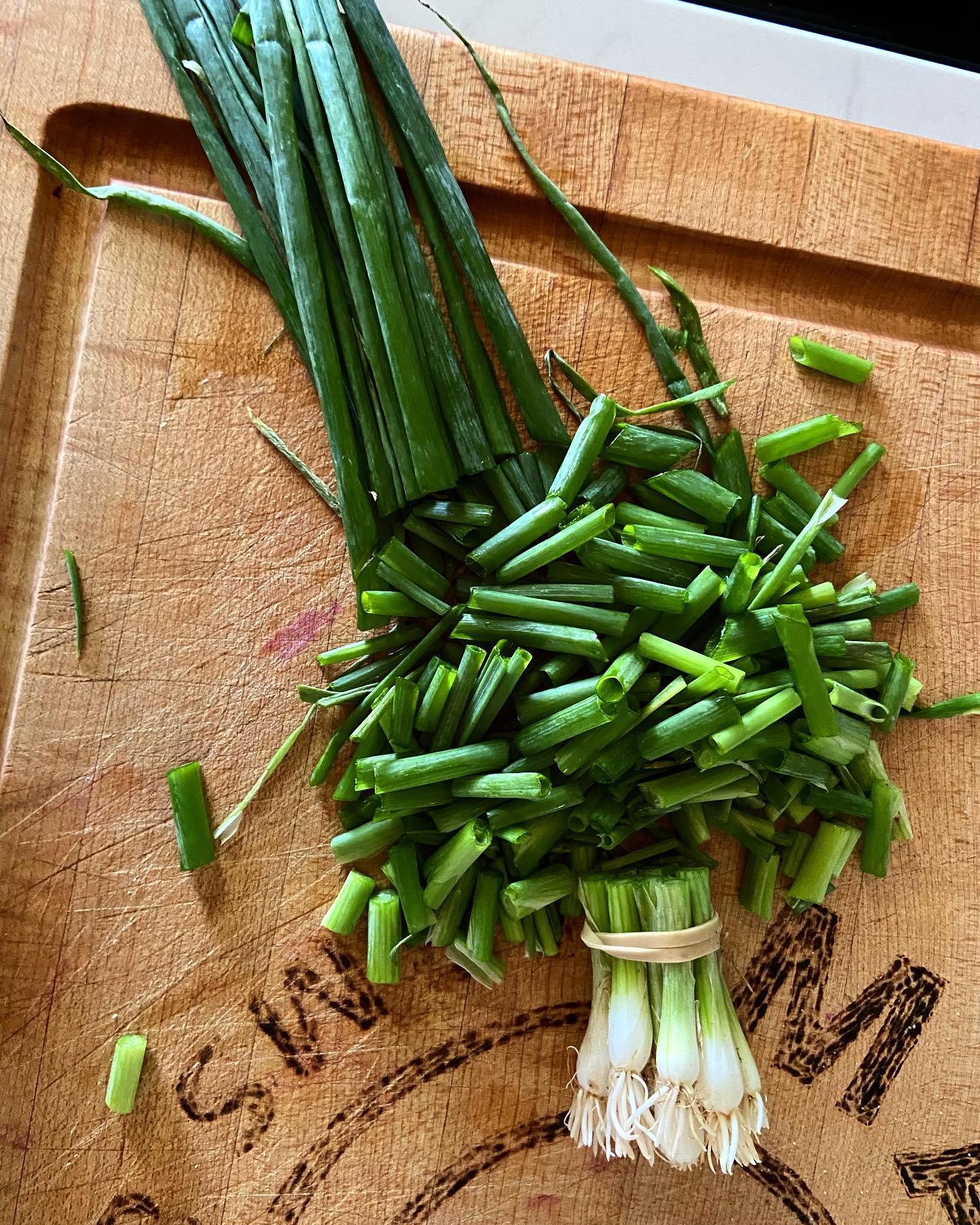 Mmm mmm onions!!
Find us at the Elora farmers market tomorrow at Bissell Park!
Zucchini, black radish, daikon radish, salad mix, Yukon gold potatoes, beets, turnips, kale, onions, garlic AND MORE!
See you there! #eloraontario