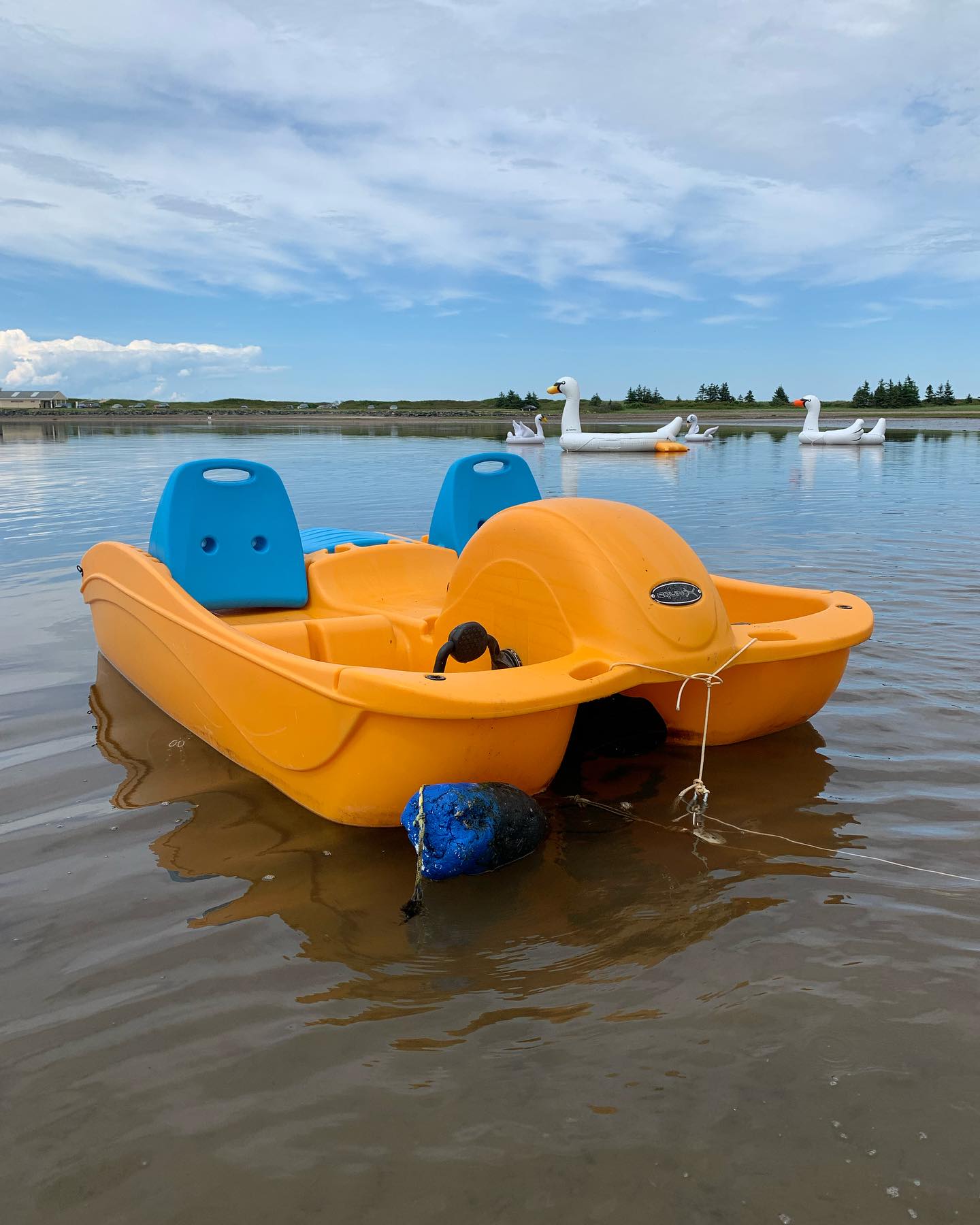 The pedal boat is repaired and back on the website for booking