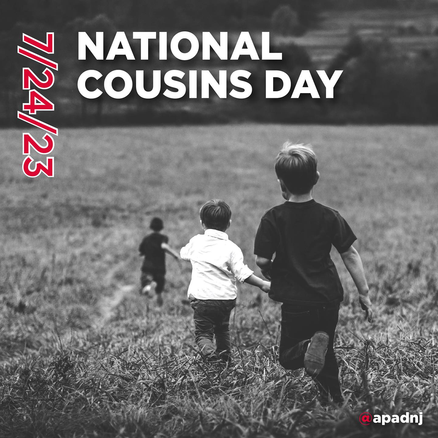 You may remember spending time at the home of aunts, uncles, or grandparents when you were young. It probably would have been a lot less fun there if it hadn't been for one group of people who were also often there: your cousins!
Cousins Day is "a day to celebrate, honor and appreciate our cousins." Cousins share a common ancestor or ancestors and are separated by at least two generations from these common ancestors. When someone mentions a cousin, they are usually referring to someone who is their first cousin, who are cousins whose most recent common ancestor is two generations away: a grandparent. Cousins can be defined by "degrees," such as being second cousins, and by "removals," such as being first cousins once removed. It can sometimes be difficult to remember how cousins are related, but luckily, various charts exist that explain it.
Today we celebrate all cousins, whether they be first cousins or third cousins twice removed!
#cousinsday