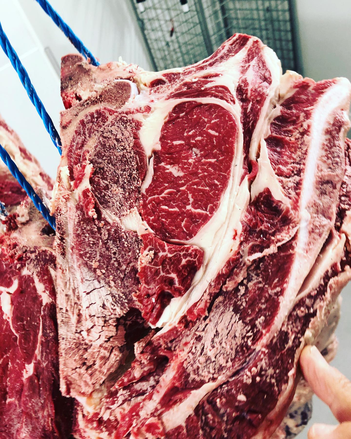 Mes belles Montbéliardes… quand le m majuscule s’impose … #eleveur #viandesmaturées #premium #viandesdexceptions #boucherielyonnaiseorigine #corbas