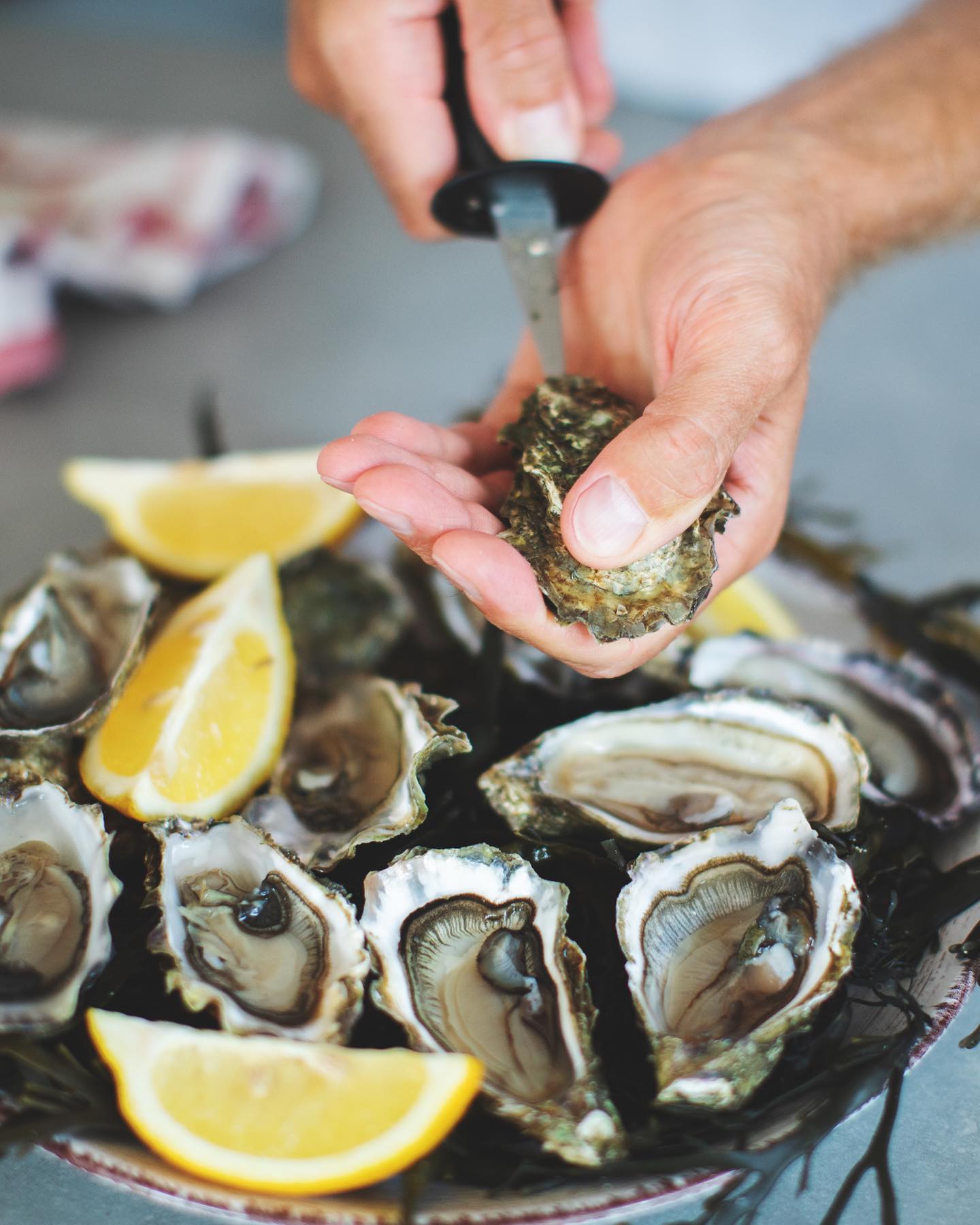 🦪 Vier met ons de heerlijke smaak van de zee, want vandaag is het Nationale Oesterdag! 🌊🎉
Oesters hebben een rijke geschiedenis als een echte delicatesse, geliefd door vele culturen door de eeuwen heen.
Wist je dat de Romeinen ze al aten en dat ze symbool stonden voor weelde en weelderigheid in de middeleeuwen?
Verwen jezelf met deze heerlijke traktatie en duik in de culinaire geschiedenis van de oester! 🍽️😋
