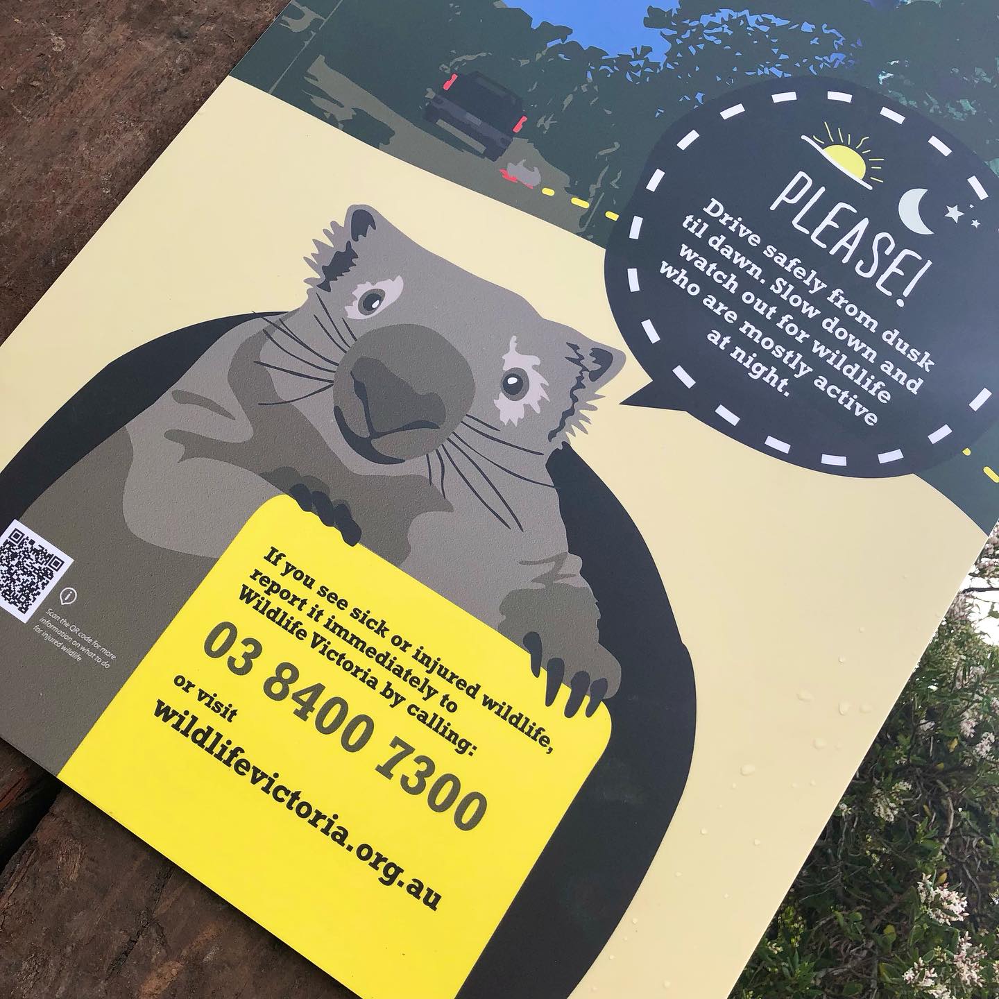 Venus Bay is one of the few places left on earth where people are fortunate enough to be able to live amongst healthy populations of an abundant array of native Australian wildlife.
This recent signage roll out consisted of 53 graphic panels mounted on recycled posts, strategically placed throughout 10 acres of woodland located in the center of Venus Bay’s 2nd estate.
The purpose of this project was to create a common understanding amongst community members and visitors to this growing region, about the significance of the Venus Bay peninsula’s Coast Banksia Woodland habitat. This CBW Ecological Vegetation Class is listed as vulnerable, with approximately 90% of this region’s forests cleared for agriculture since colonial settlement.
#redmulletcreative #environmentalgraphicdesign #environmenalsignage #habitatforwildlife #venusbay #venusbayvictoria #gippsland #southgippslandshirecouncil