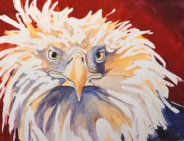 So this smarty pants, also known as “Einstein,” is now residing in what I’m quite sure is a stimulating environment. Congratulations to Karen Ahlgren!
#karenahlgren
#eaglepaintings
#artisansonmainlaveta