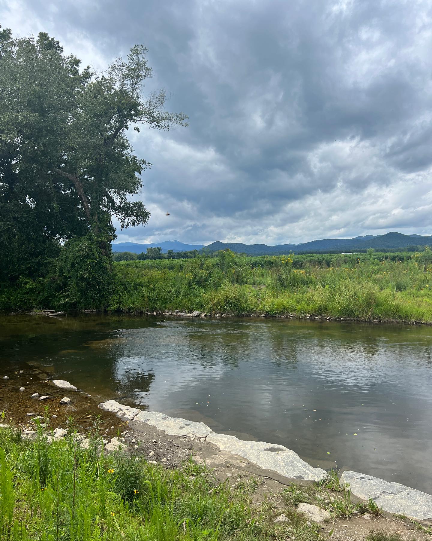 “The heavens proclaim the glory of God. The skies display his craftsmanship. Day after day they continue to speak; night after night they make him known.” Psalm 19:1-2 NLT
Thankful for this day and night.💕
#peace#jesus
#womenoftheword