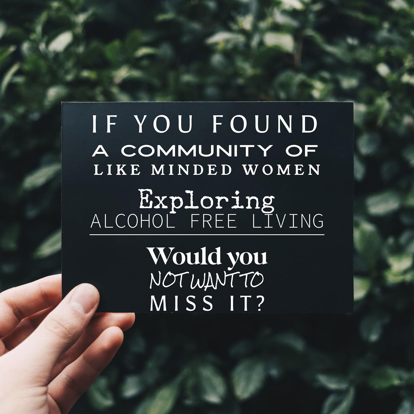 I believed my evening glass of wine was a well-earned treat. I was sure; Alcohol made life more fun, more complete. My life was not in shambles. I had no rock bottom but.....when I wanted to drink less, less often, or not at all-, I felt deprived and believed I was missing out.
The self-study and growth I have done over the past five years put one big idea at the forefront of my change .........The stories we tell ourselves make all the difference. I had NO idea that changing my desire and need to drink alcohol would profoundly affect my life as it has.
Nourished Warrior Mentorship and Coaching Community will support you in changing your need and desire for alcohol. If you want to drink less, less often, or not all, then this 8-week Empowering Choice Mentorship Coaching Program is for you.
#alcoholfreeliving
#alcoholfreewomen
#empoweredwomen
#womensupportingwomen
#challengeaccepted
#womenbusiness
#selflove
#womemempowerment
#motivation