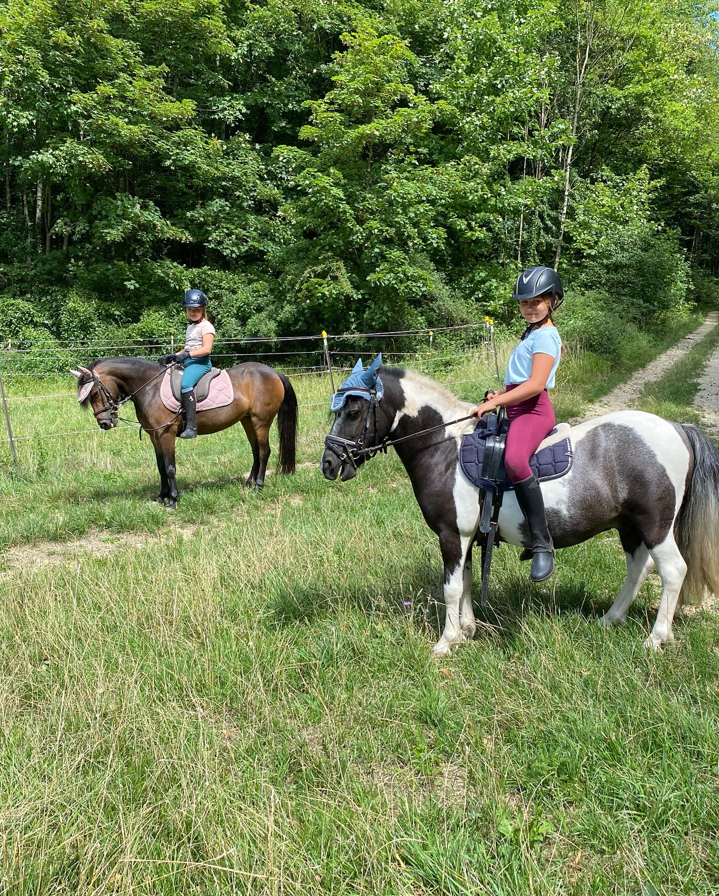 Ein toller&erlebnisreicher Pferdetag 🐴🤩🥰 vielen Dank für den Besuch bei uns auf dem Hof und unseren Pferden. Bis bald 🙋🏻♀️ 👉🏻 Pferdeerlebnistag ➡️ der Nächste findet am Freitag, 1. September statt. Anmeldungen können noch entgegen genommen werden 👍 gleich Platz reservieren. www.Pferdeschule-Hegau.de