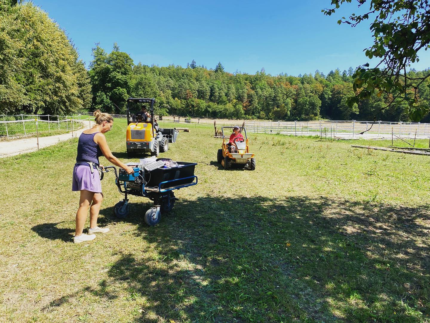 unser Leben ist ein Ponyhof 🐴🥰 #pony#pferd#dorfkinder#pferdestall#reitschule
