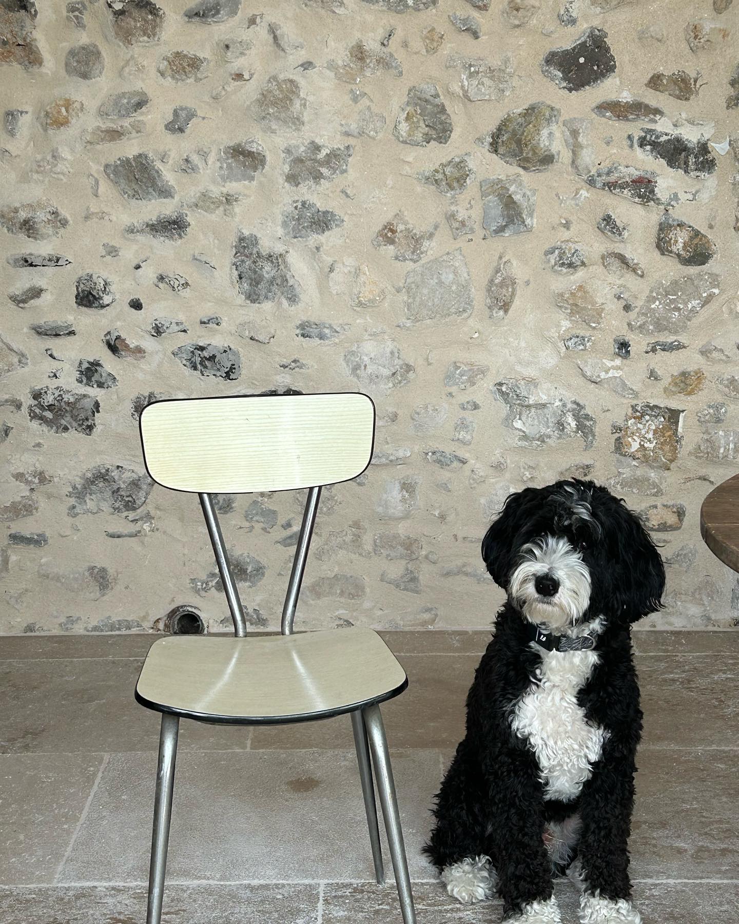 The most magical picture with stone walls and our cutest model 🖤🤍🖤 .
.
.
.
.
Book La Maison LONG****
Vacation home | Photoshoot
4 bedrooms | 6 guests
📍In the heart of the village (Ollioules, Var)
⛱ 15 min from beaches by car
⏱ Near Sanary-sur-Mer, Bandol, Le Castellet, Evenos, La Cadiere d'Azur, Toulon!
⌨ For lowest prices, book here:
www.lamaisonlong.com
.
.
Réservez La Maison LONG****
Maison de vacances | Lieu de Tournage
4 chambres | 6 personnes
📍Au cœur du village (Ollioules, Var)
⛱ 15 min des plages en voiture
⏱ Proche de Sanary-sur-Mer, Bandol, Le Castellet, Evenos, La Cadiere d'Azur, Toulon!
⌨ Réservez ici (prix les plus bas) : www.lamaisonlong.com
#lamaisonlong #maisonlong #ollioules #sanarysurmer #vacationhome #slow #slowliving #cotedazur #southoffrance #regionsud #frenchriviera #provencealpescotedazur #pacatourisme #maisonalouer #locationsaisonniere #maisondecharme #maisonsdevacances
#authenticprovence #suddelafrance #lesud #ProvenceGuide #VisitProvence #frenchcountry #uniquehomes #amazingspaces #patrimoinefrancais #oldstones #vaultedceiling