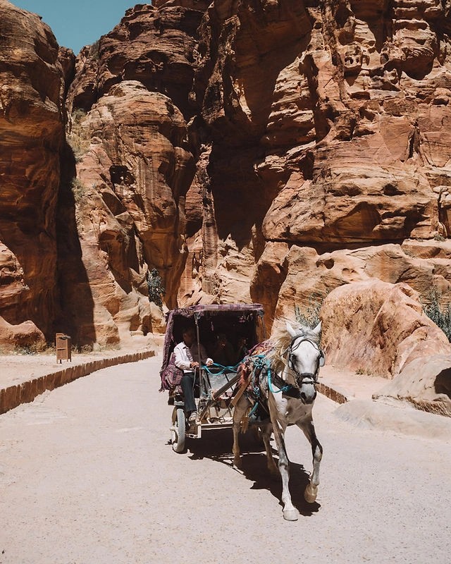 Half-hidden in the southern territory of Jordan, Petra's known as The Lost City. This pseudonym pays homage to the origins of the ancient city. For five centuries Petra was hidden from the rest of the world until it was finally discovered in 1812 ☀️
Learn more about the sandy kingdom via the link in our bio.
#travel #nomads #wanderlust #culture #travelto #explore #petra #jordan #traveltojordan #nature #photography #picoftheday #instatravel