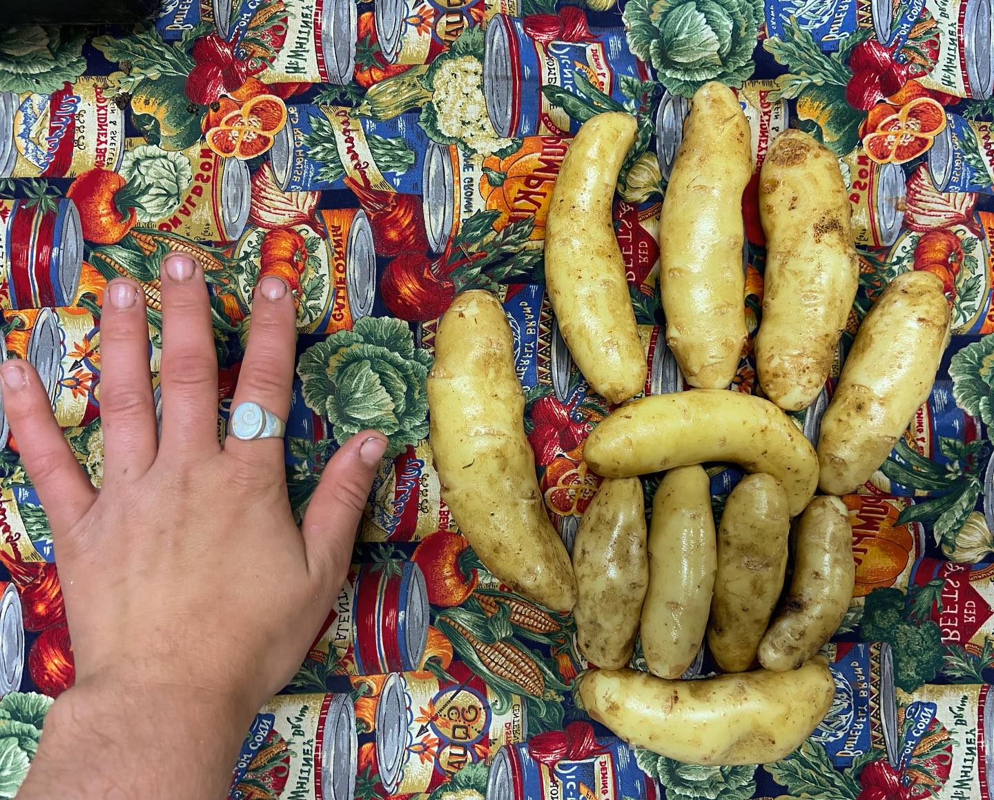One of these things is not like the other!
Come get your fingerling potatoes tomorrow at the Elora Farmers’ Market. This week the market will be at the museum. See you there!