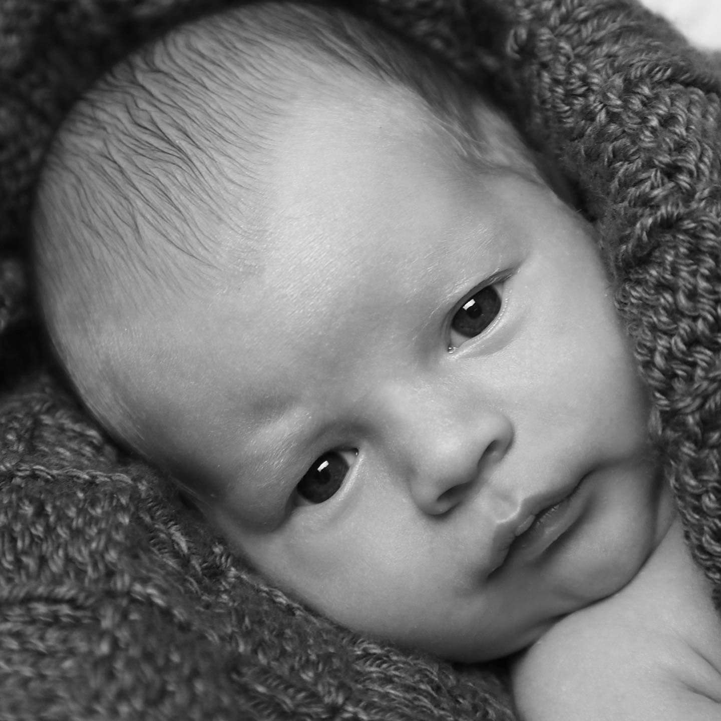 Got to hang out with this little man. So relaxed. I love when they are so tiny ❤️ #newbornphotoshoot #yycbabies