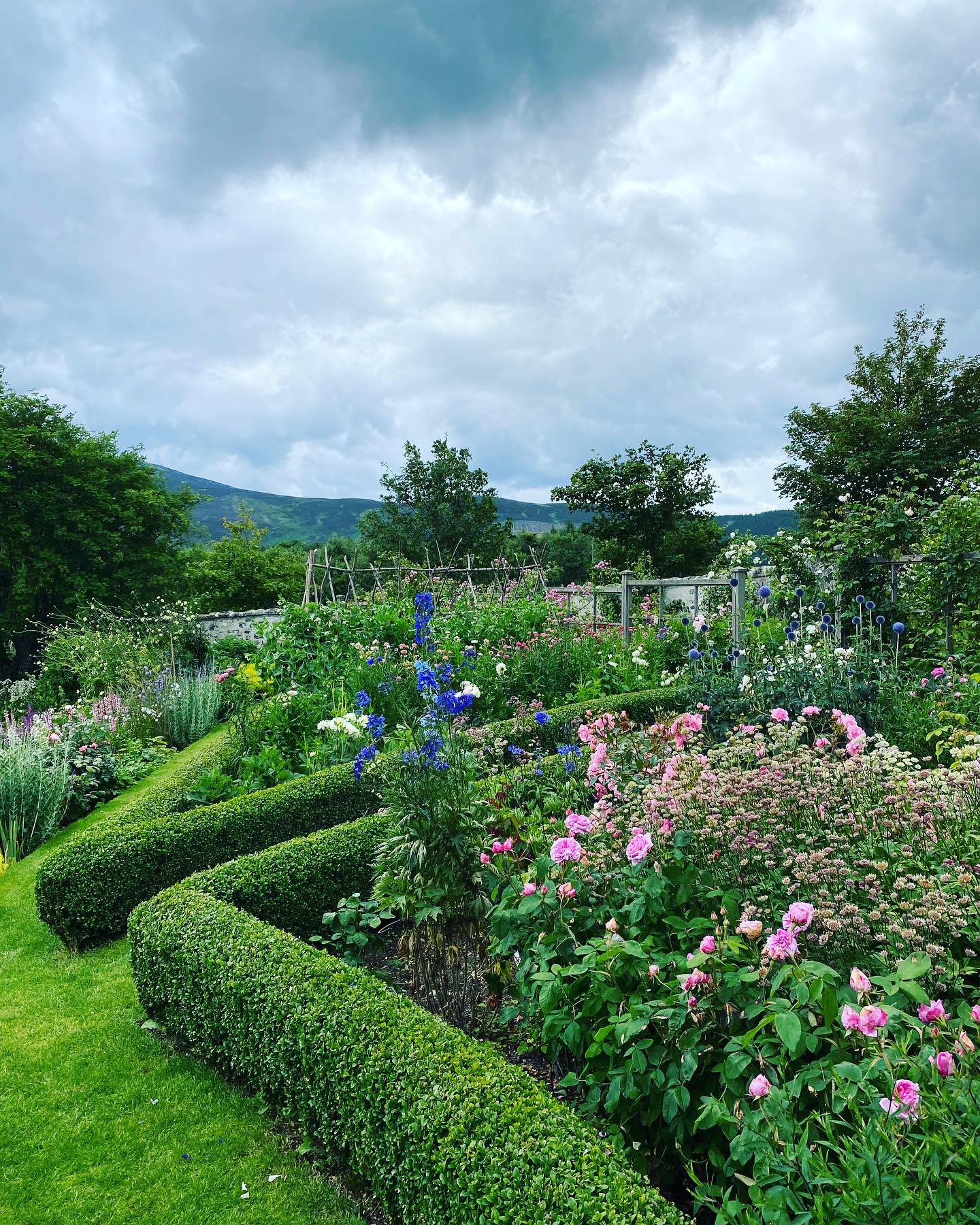 Recently I was lucky enough to visit this gem of a garden up in Aberdeenshire. Recently featured in gardens illustrated. It’s a beautifully designed garden, loved and maintained by its owners. A real gem and full of inspiration. Felt very privileged to visit. #hiddengem #gardenvisit #inspiration #plantingcombinations #scotishgarden #gardendesign