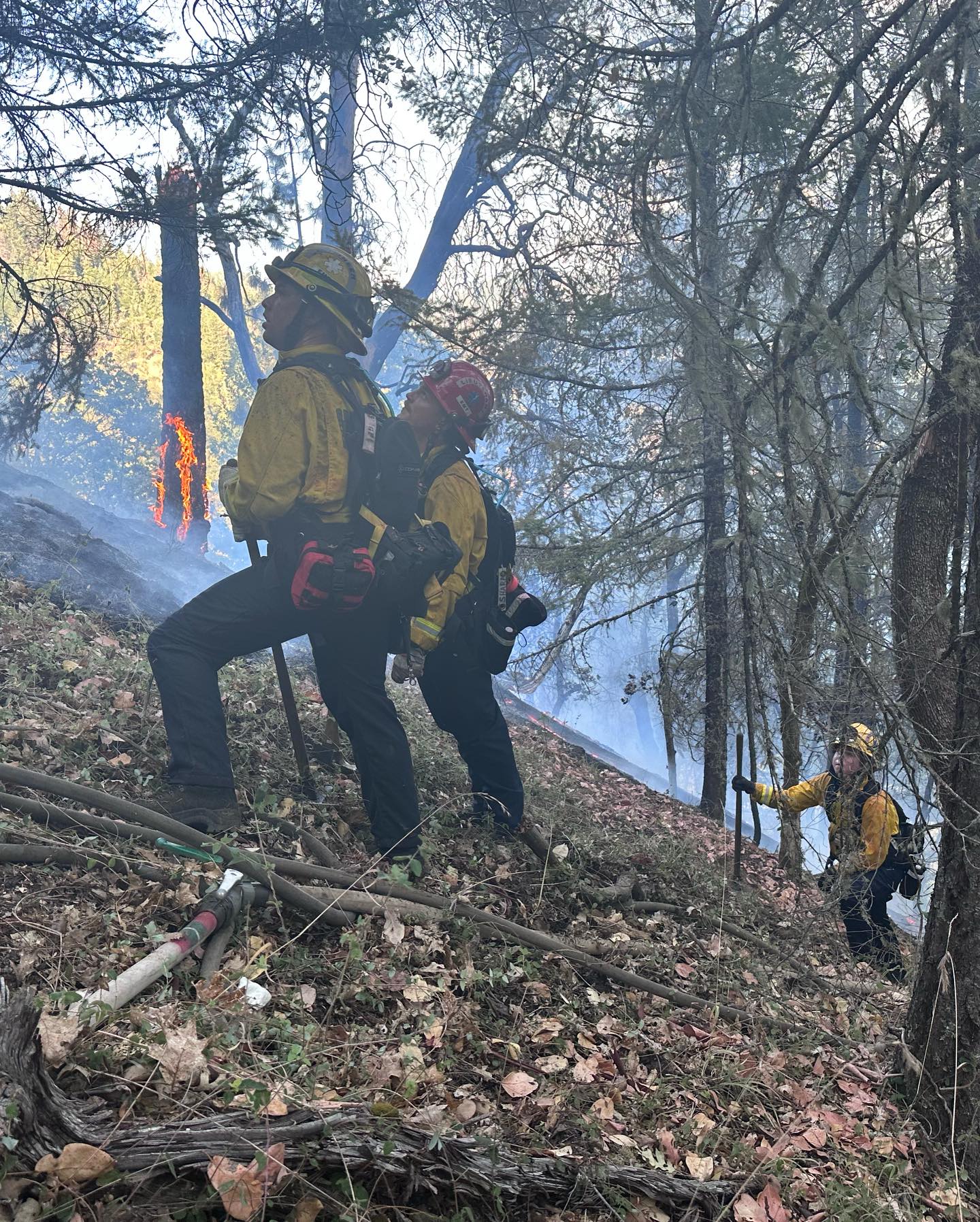 Late afternoon Grants Pass Firefighters provided mutual aid to Evans Valley Fire and @oregonforestry on a 2nd alarm vegetation fire. The fire was contained at less than an acre. #fireseason2023 #mutualaid #oregonfirefighters