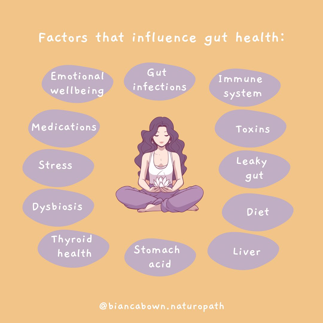 Let’s dive into how various factors influence your gut health…
Emotional Wellbeing: Did you know that your gut and brain communicate closely? Emotional stress can wreak havoc on your gut, leading to discomfort, pathogen overgrowth & leaky gut.
Gut Infections: Harmful microbes can disrupt your gut’s harmony. With my Gut Restore Package, we tackle these infections with targeted herbal support and probiotics, ensuring your gut flora is in tip-top shape.
Immune System: A robust immune system is key to gut health & a healthy gut leads to a robust immune system. Up to 80% of our immune cells are produced in our gut!
Toxins: Toxins in your environment can harm your gut lining, create liver burden & inflammation in the body.
Leaky Gut: This occurs when the gut barrier is compromised. My Gut Restore Package focuses on healing your gut lining through personalised diet plans and supplements, giving your gut the love and care it deserves.
Diet: What you eat matters! Processed foods, refined sugars, preservatives, excess gluten and inflammatory vegetable oils may damage your gut & leave you depleted.
Liver Health: A healthy liver supports digestion. The liver is one of the most underrated organs it performs up to 300 tasks at a time!
Stomach Acid: Proper acidity aids digestion by neutralising pathogens & keeping you free of harmful infections in the gut.
Thyroid Function: Thyroid health influences metabolism. Your thyroid plays an important role in peristalsis, detoxification & gut motility.
🦠Dysbiosis: Imbalance in gut flora can lead to issues such as poor immune function, low energy, excess stress & hormonal imbalances.
😓Stress: Stress negatively impacts the gut. If you’re under stress your digestive function switches off.
💊Medications: Some meds affect gut health. It’s important to understand how these medicines impact our gut so we can support our health to thrive.
My gut restore package utilises the microbiome map test to understand how your gut is functioning & find the answers to heal from a root cause approach. Start the journey today by clicking the link in the bio.
#gutrestore #leakygut #gutproblems #crohns #diverticulitis #bowel #guthealth