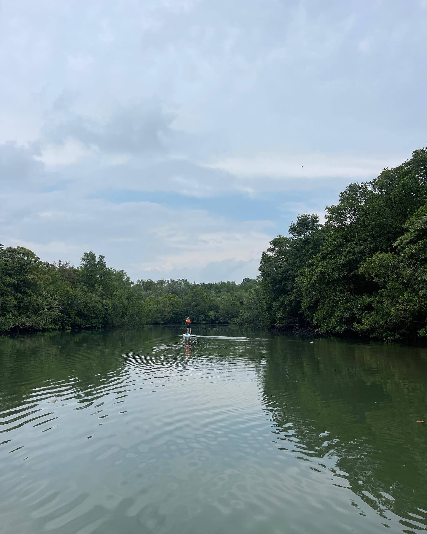 Mushroom cloud 🌧️ 🍄